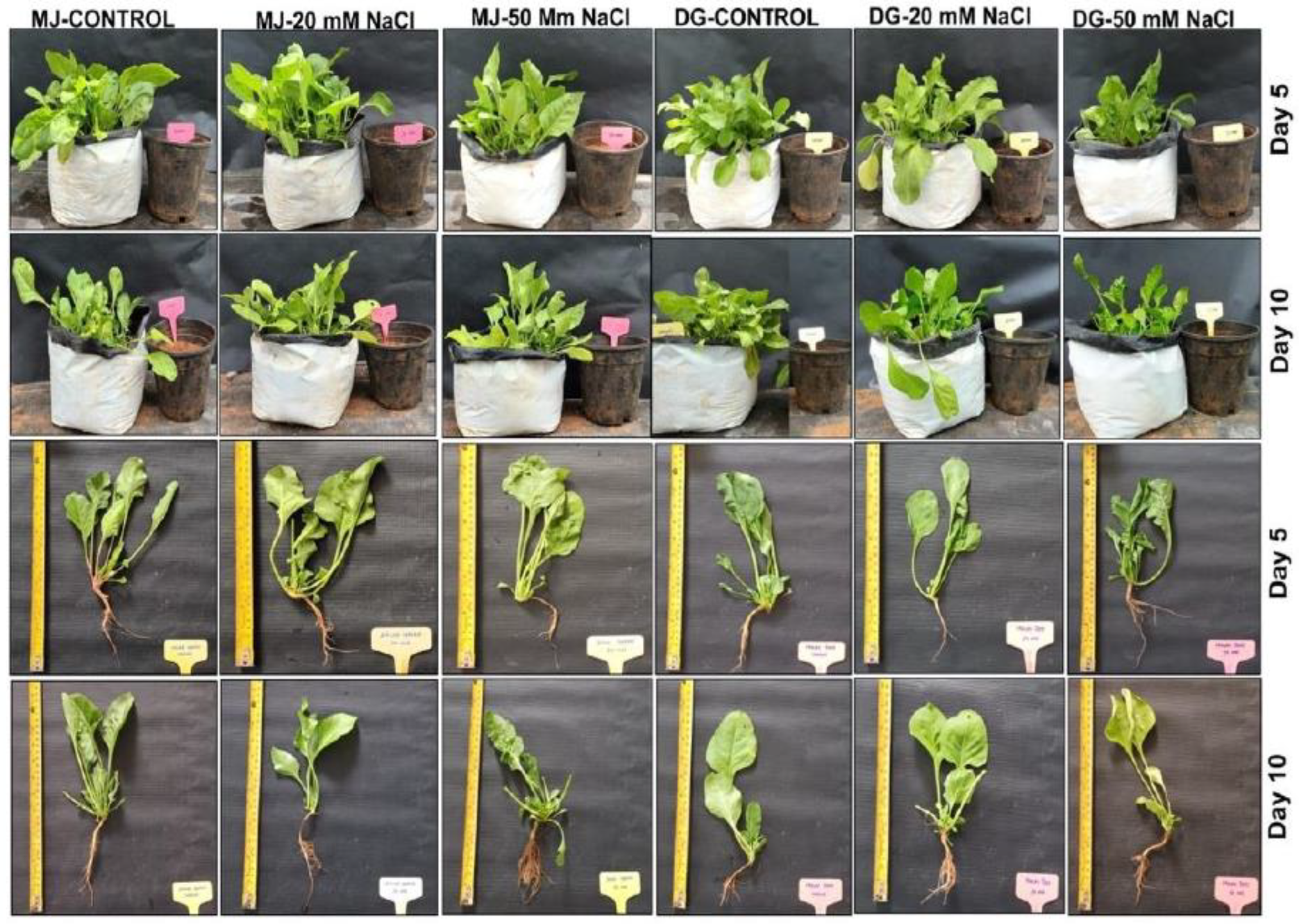 Agriculture 13 00429 g001