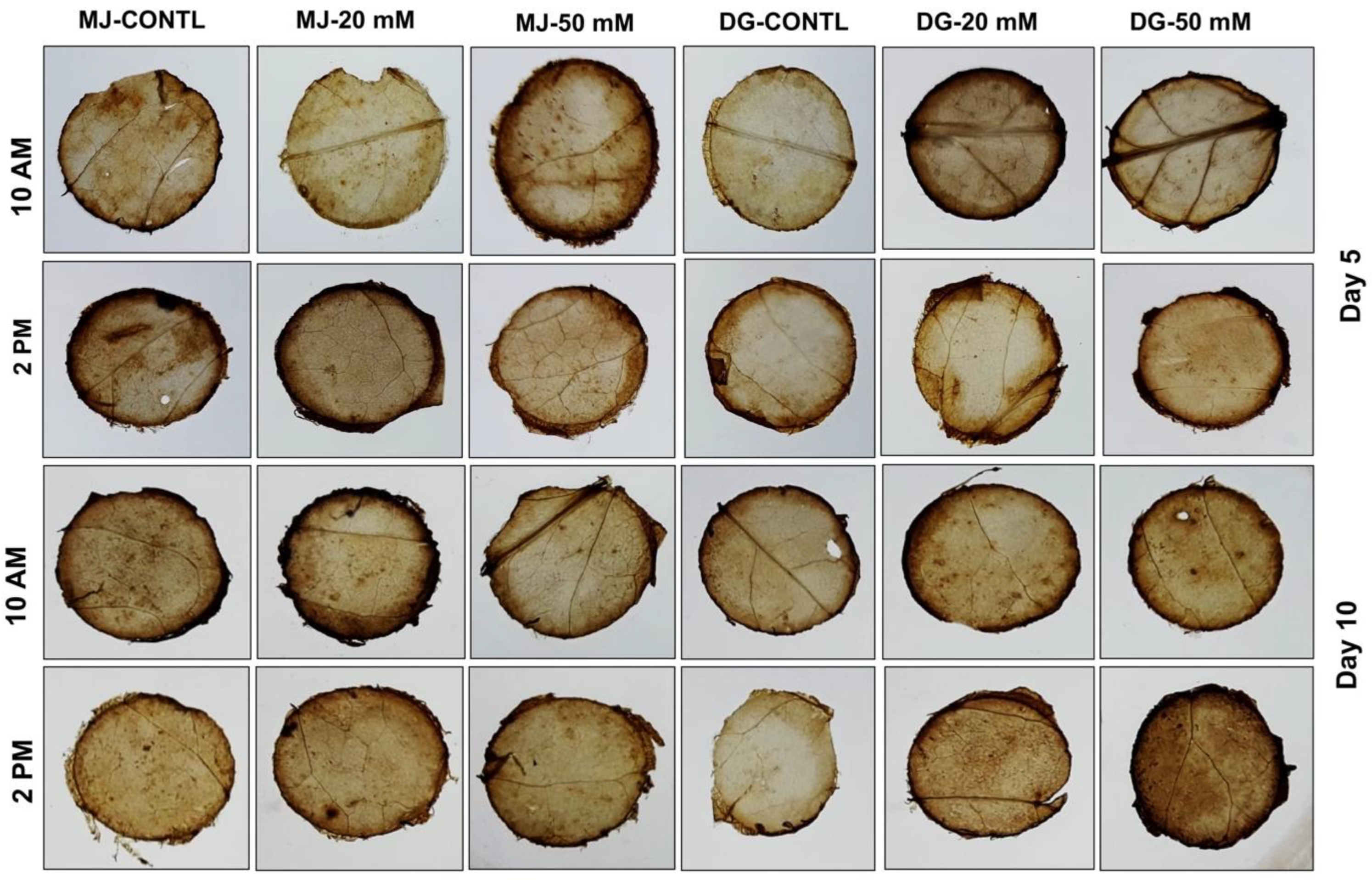 Agriculture 13 00429 g004