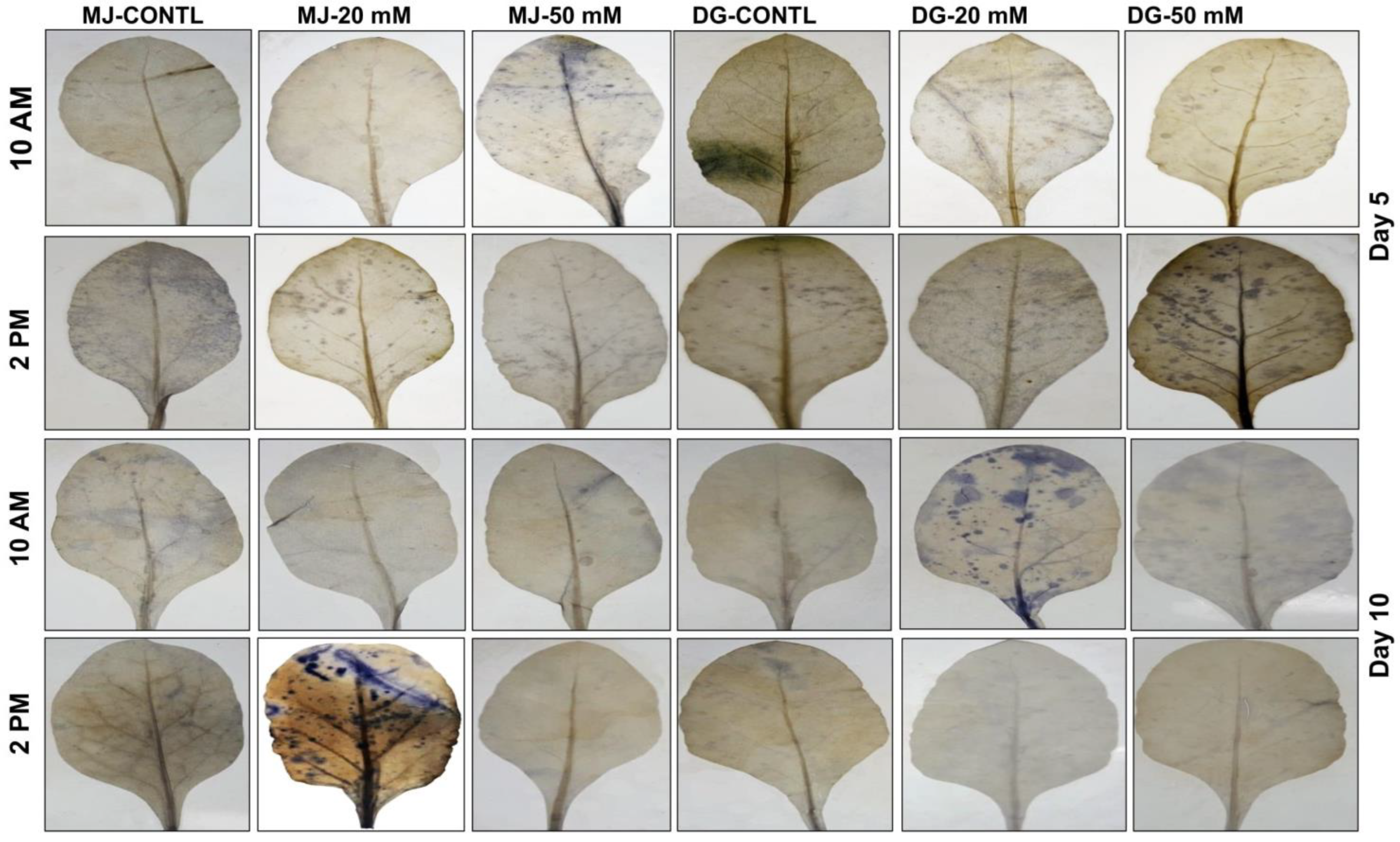 Agriculture 13 00429 g005