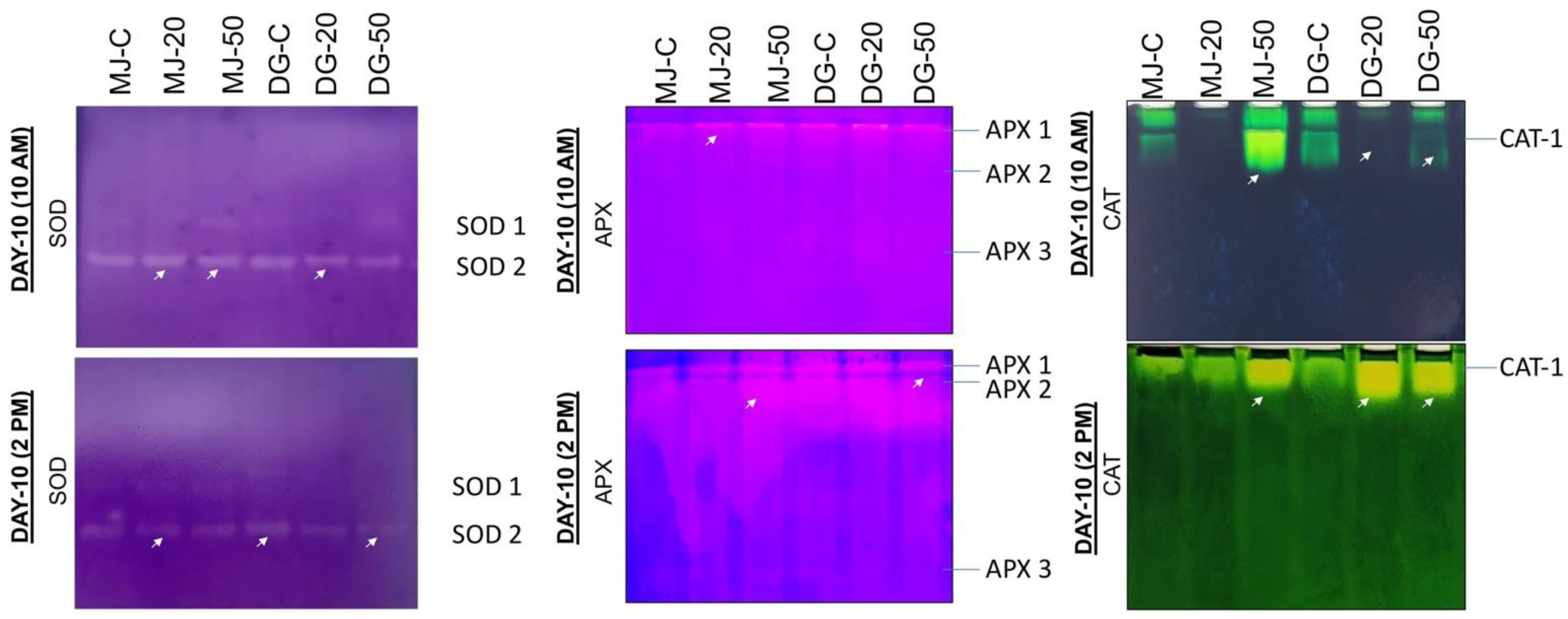 Agriculture 13 00429 g009