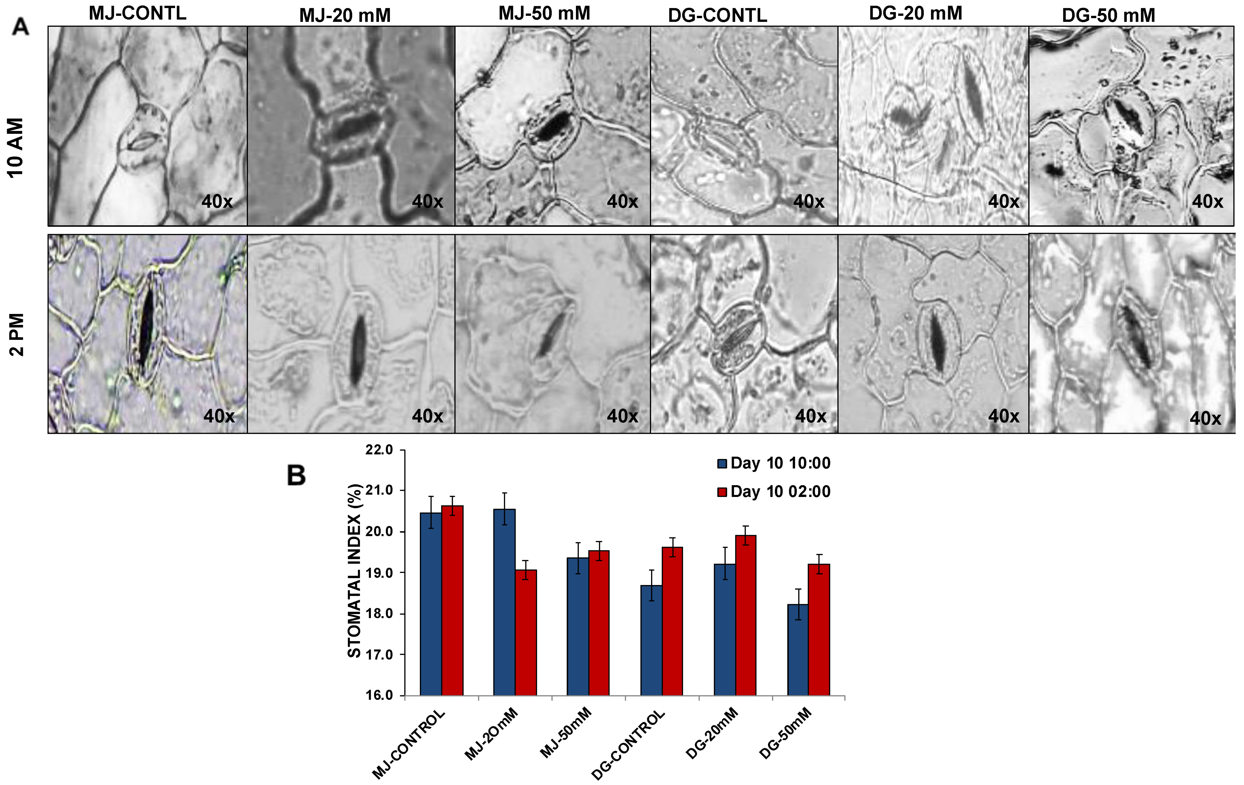 Agriculture 13 00429 g010