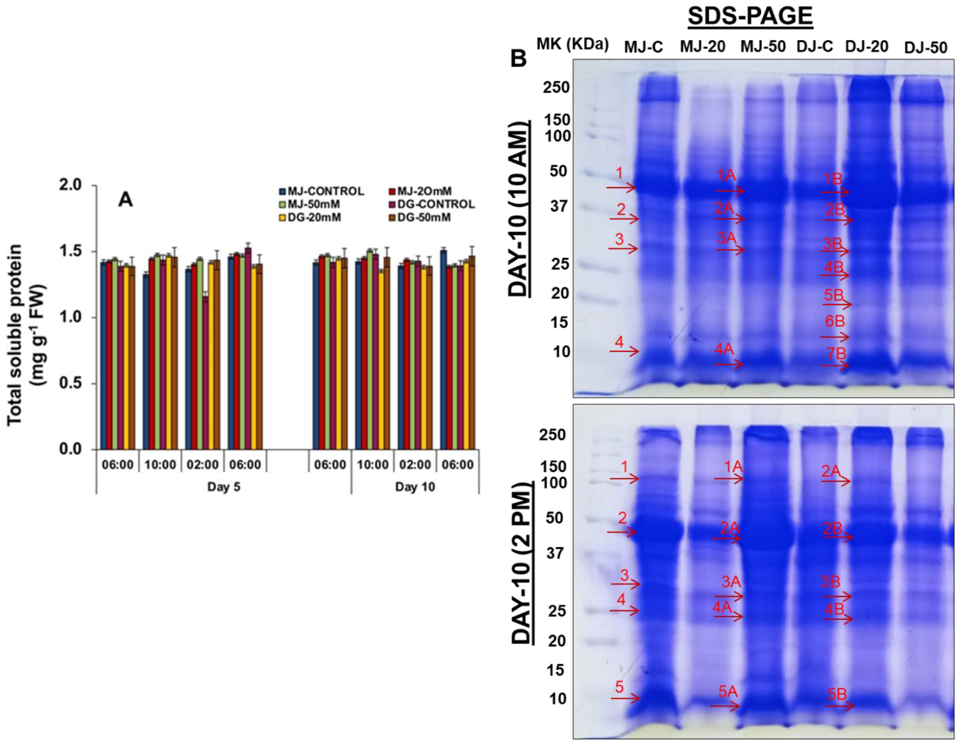 Agriculture 13 00429 g011