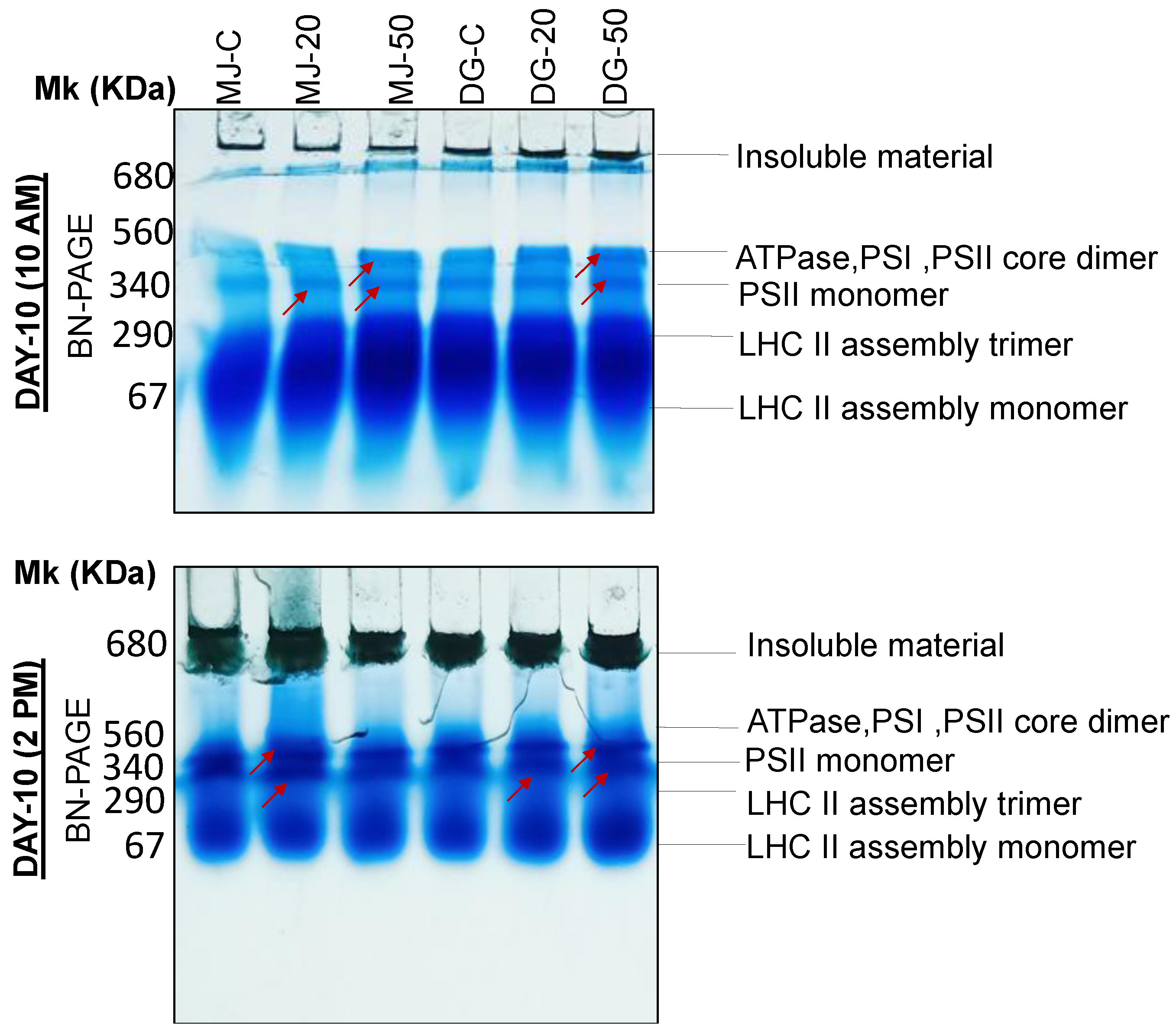 Agriculture 13 00429 g012