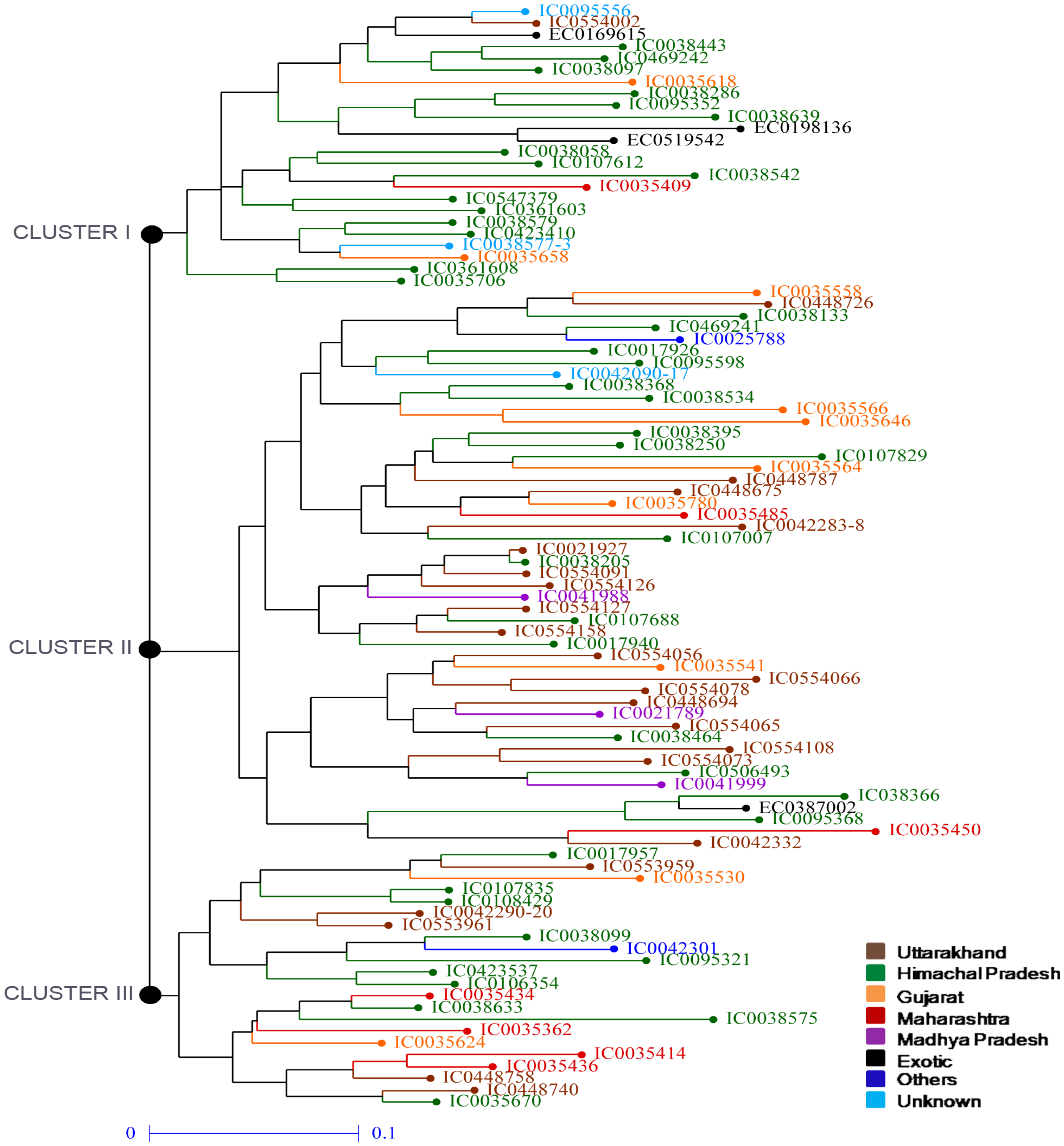 Agriculture 13 00431 g002