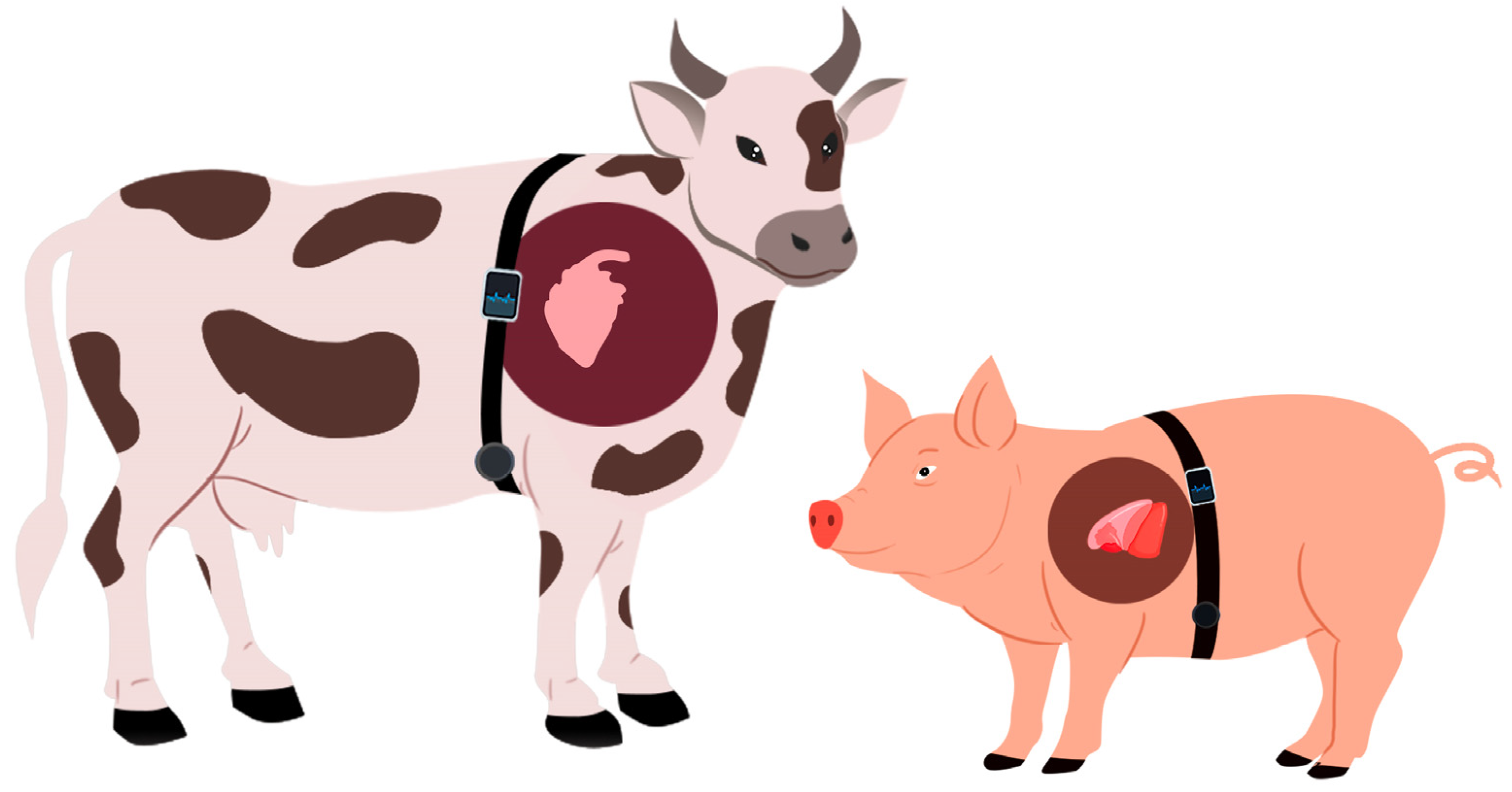 Agriculture 13 00436 g003 550