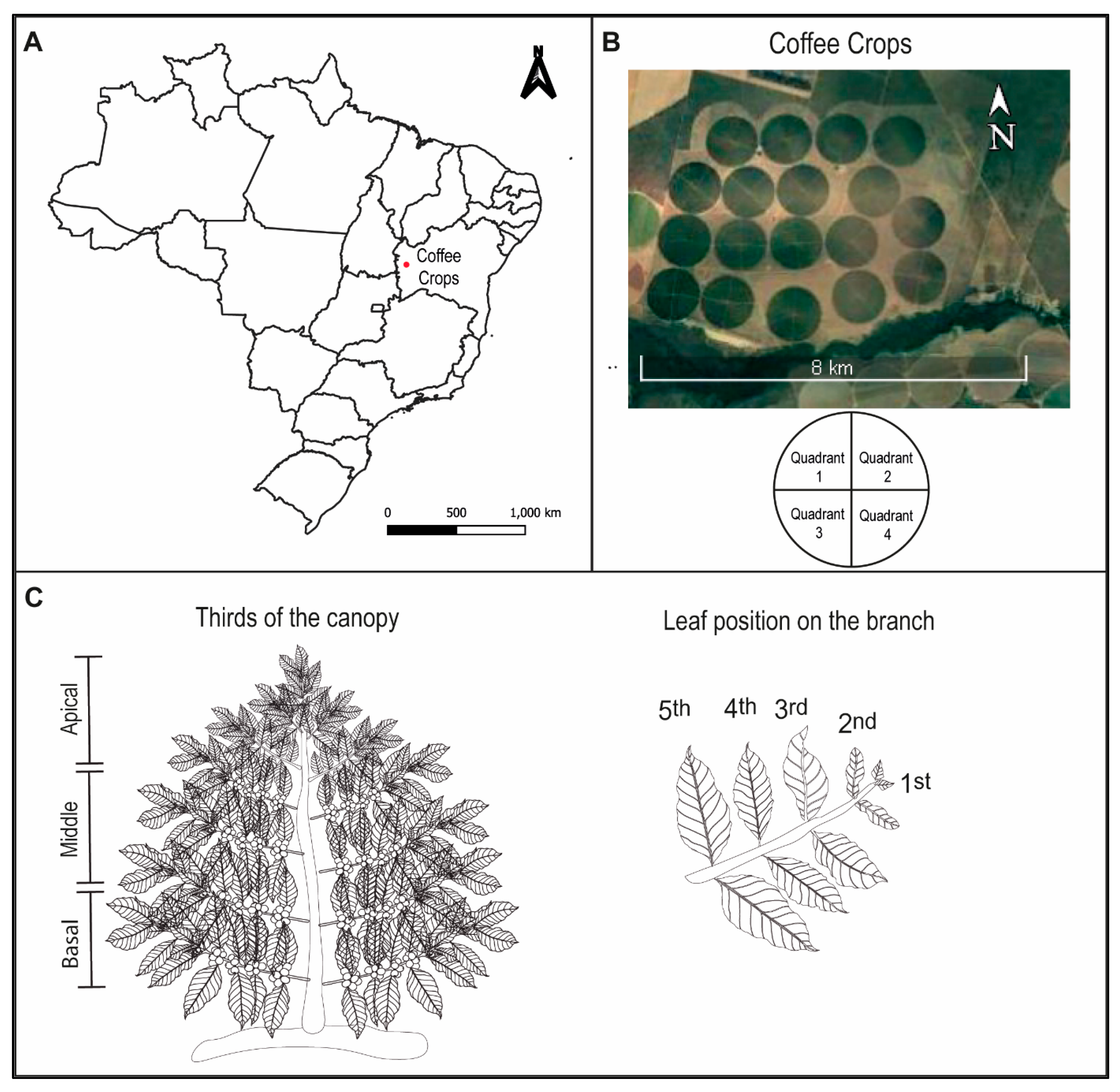 Agriculture 13 00438 g001 Agriculture 13 00438 g001