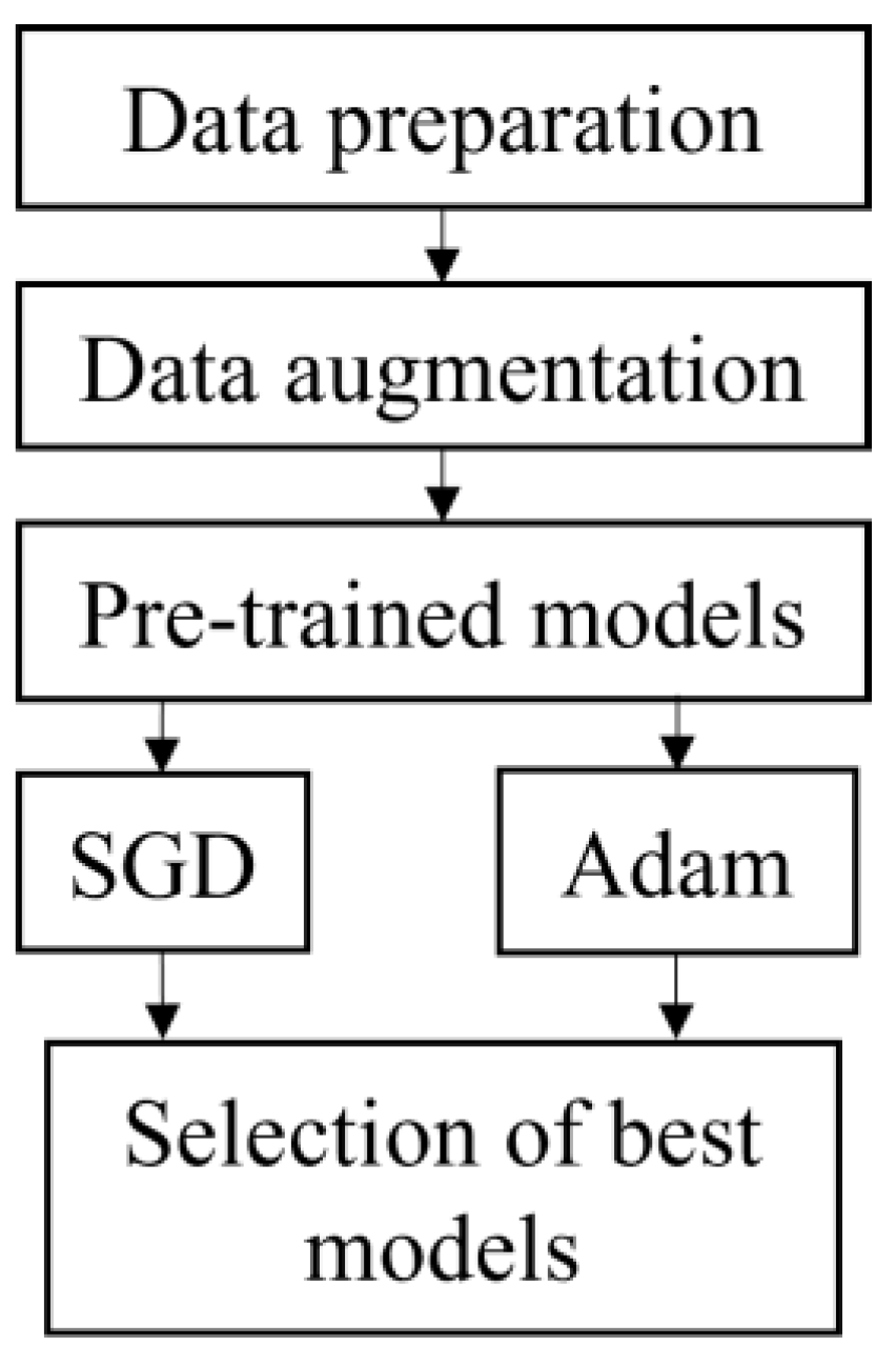 Agriculture 13 00442 g001