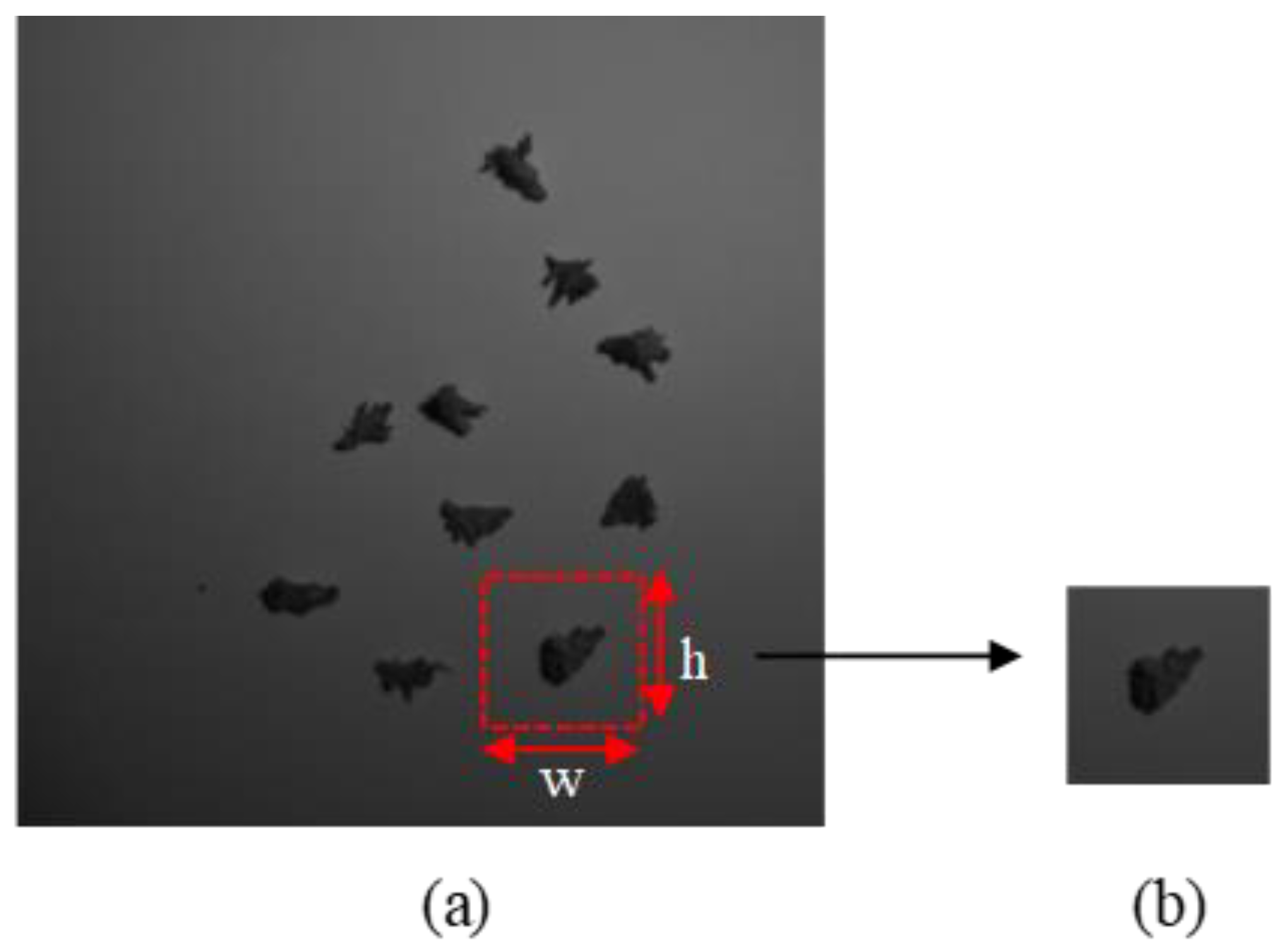 Agriculture 13 00442 g002