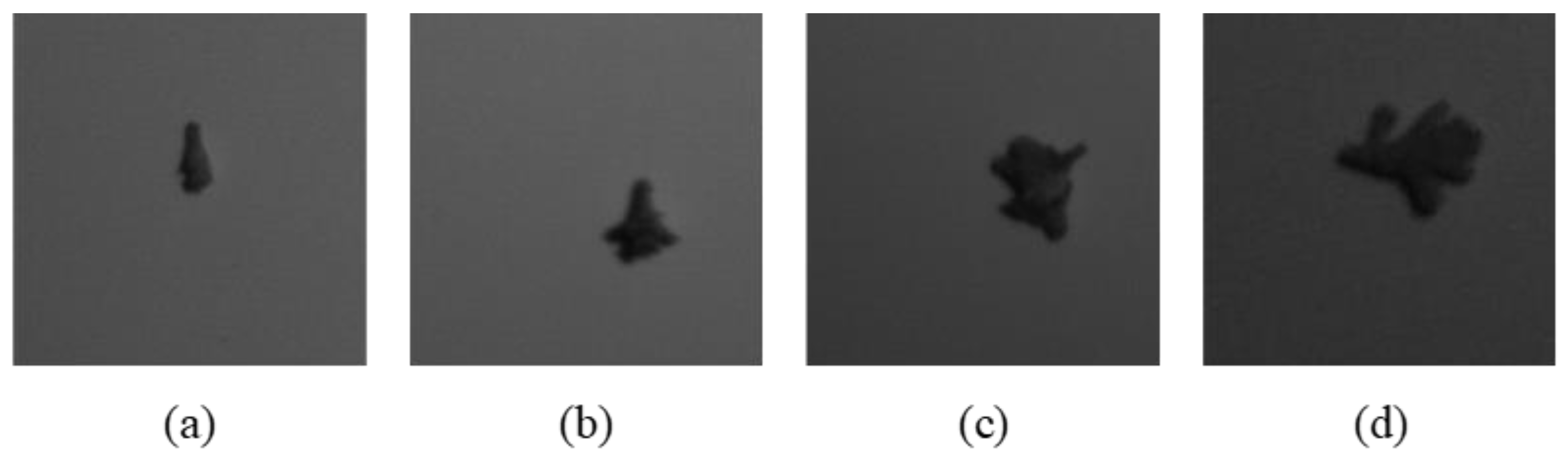 Agriculture 13 00442 g003