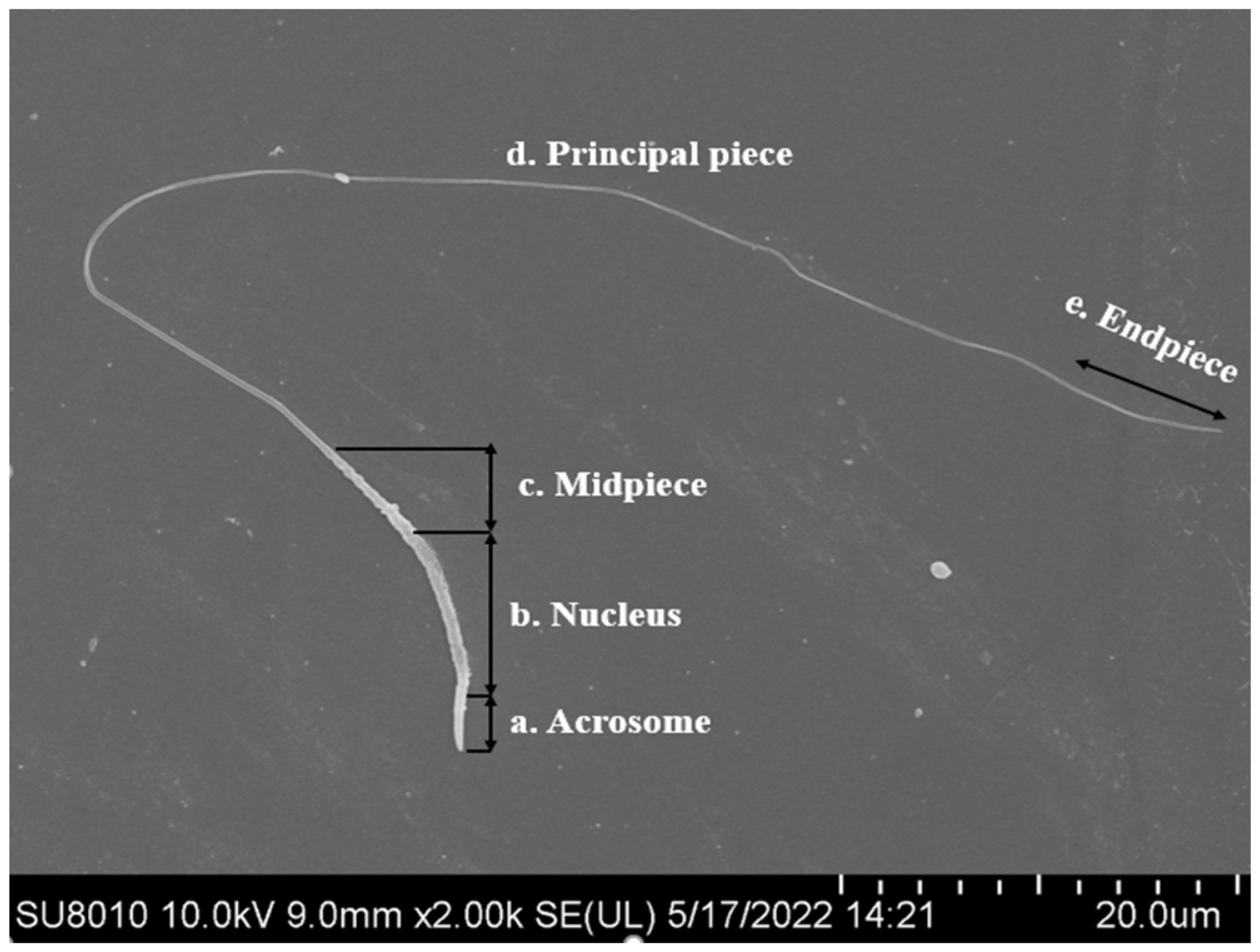 Agriculture 13 00445 g001 Agriculture 13 00445 g001