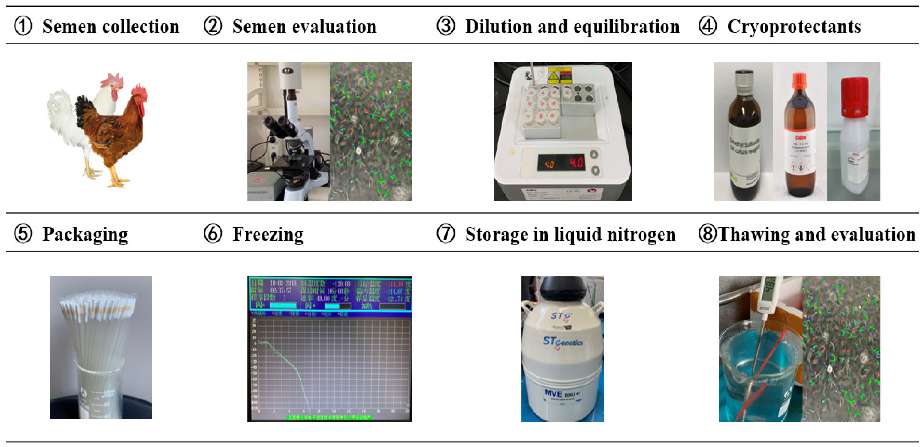 Agriculture 13 00445 g002 Agriculture 13 00445 g002