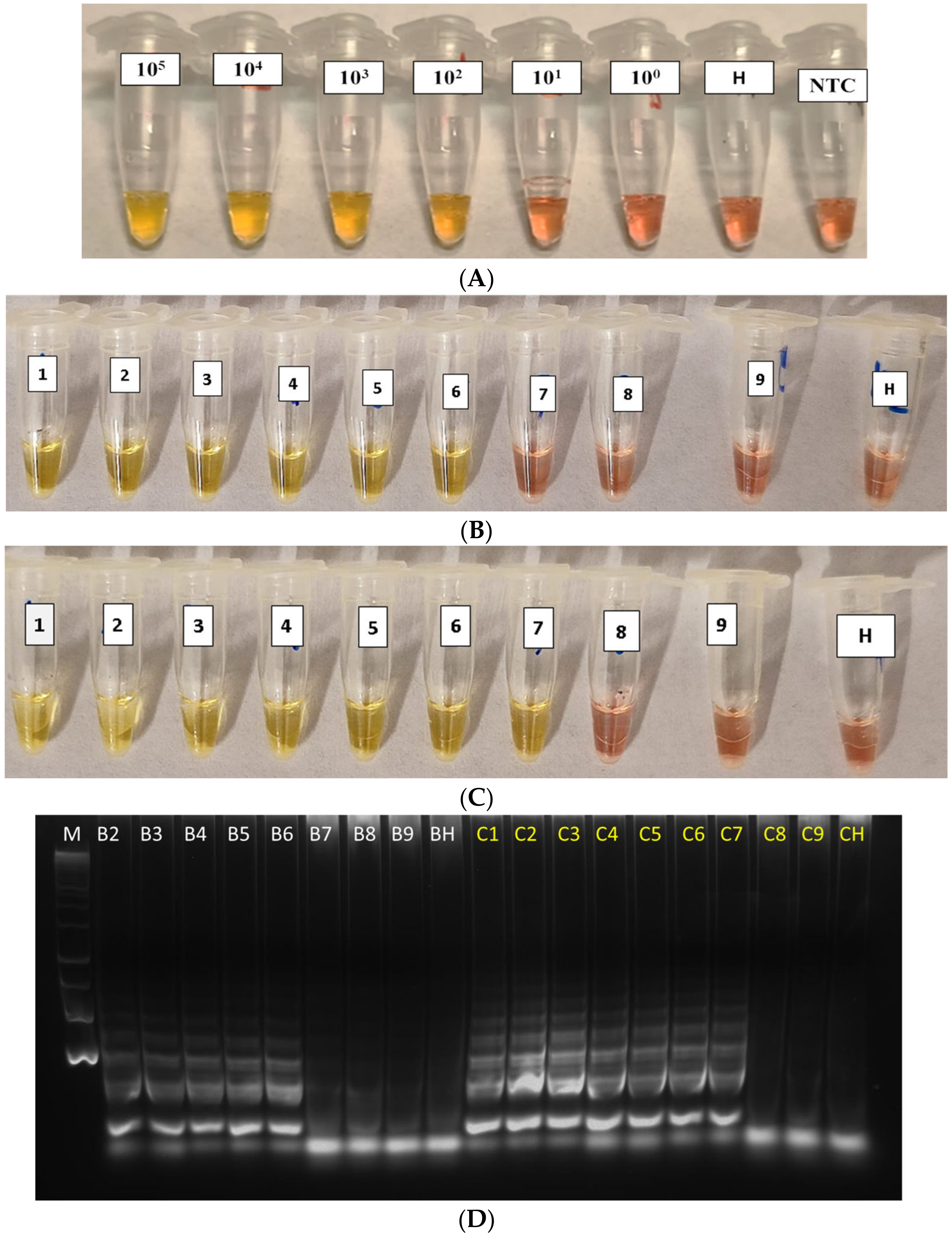 Agriculture 13 00448 g003 550