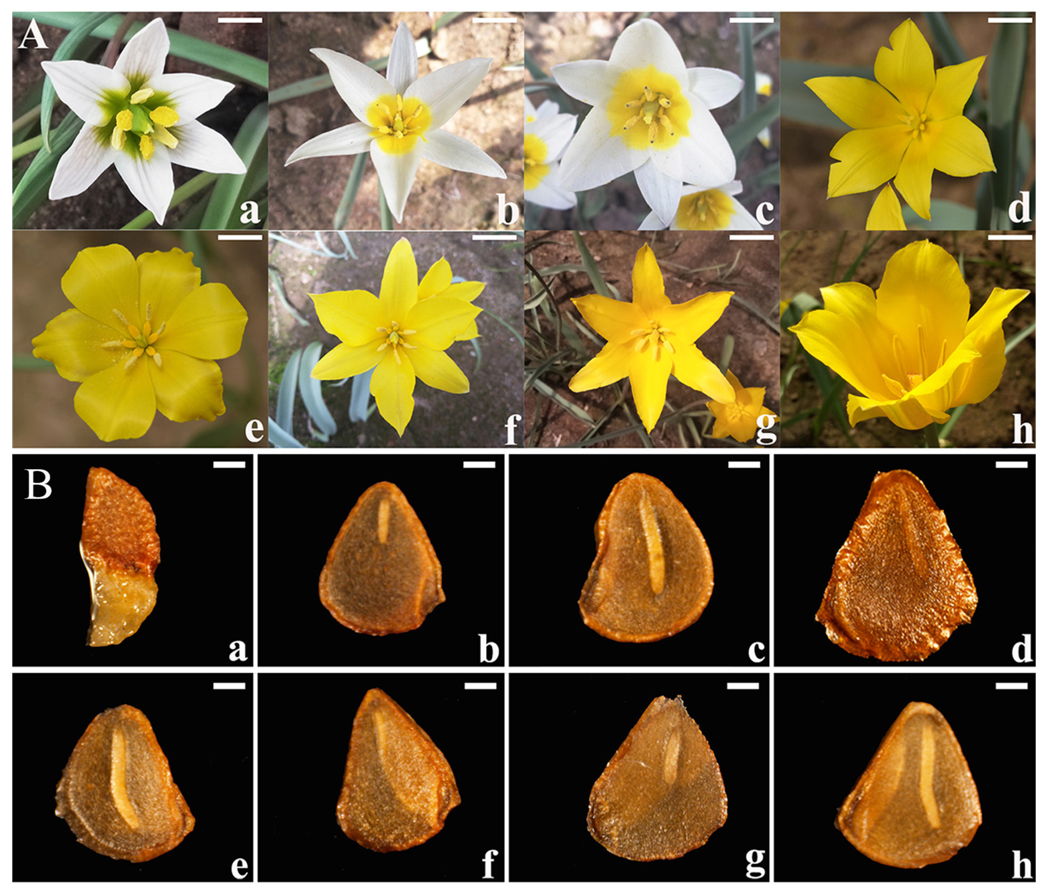 Agriculture 13 00466 g001 Agriculture 13 00466 g001