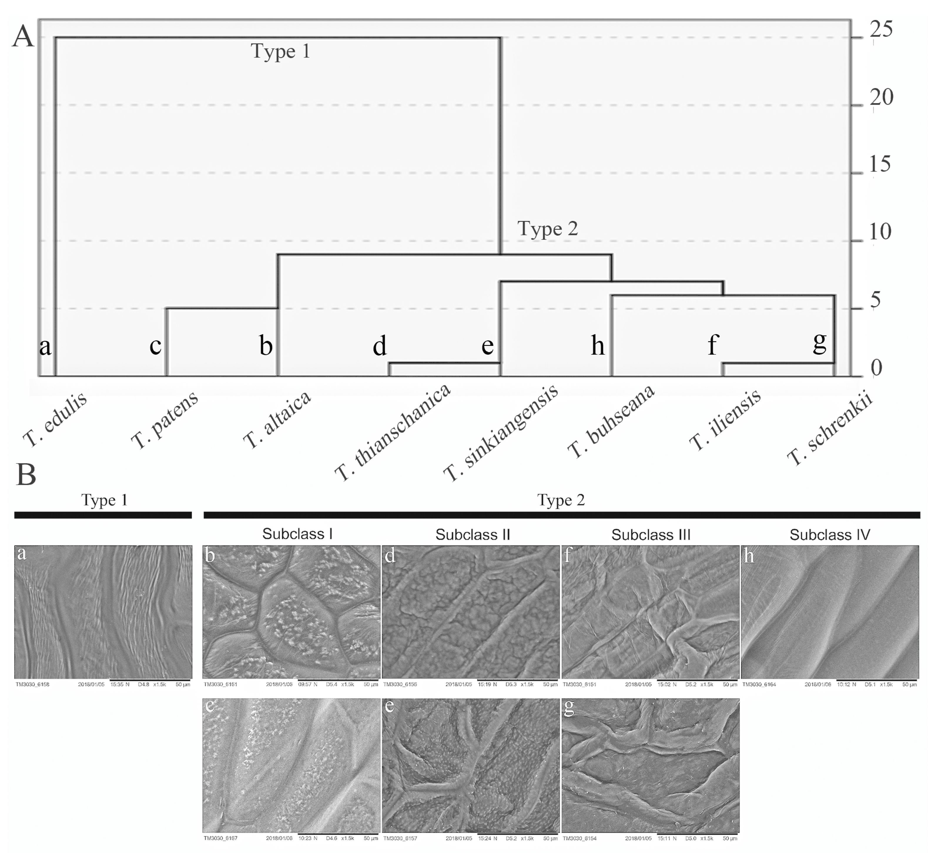 Agriculture 13 00466 g002 Agriculture 13 00466 g002