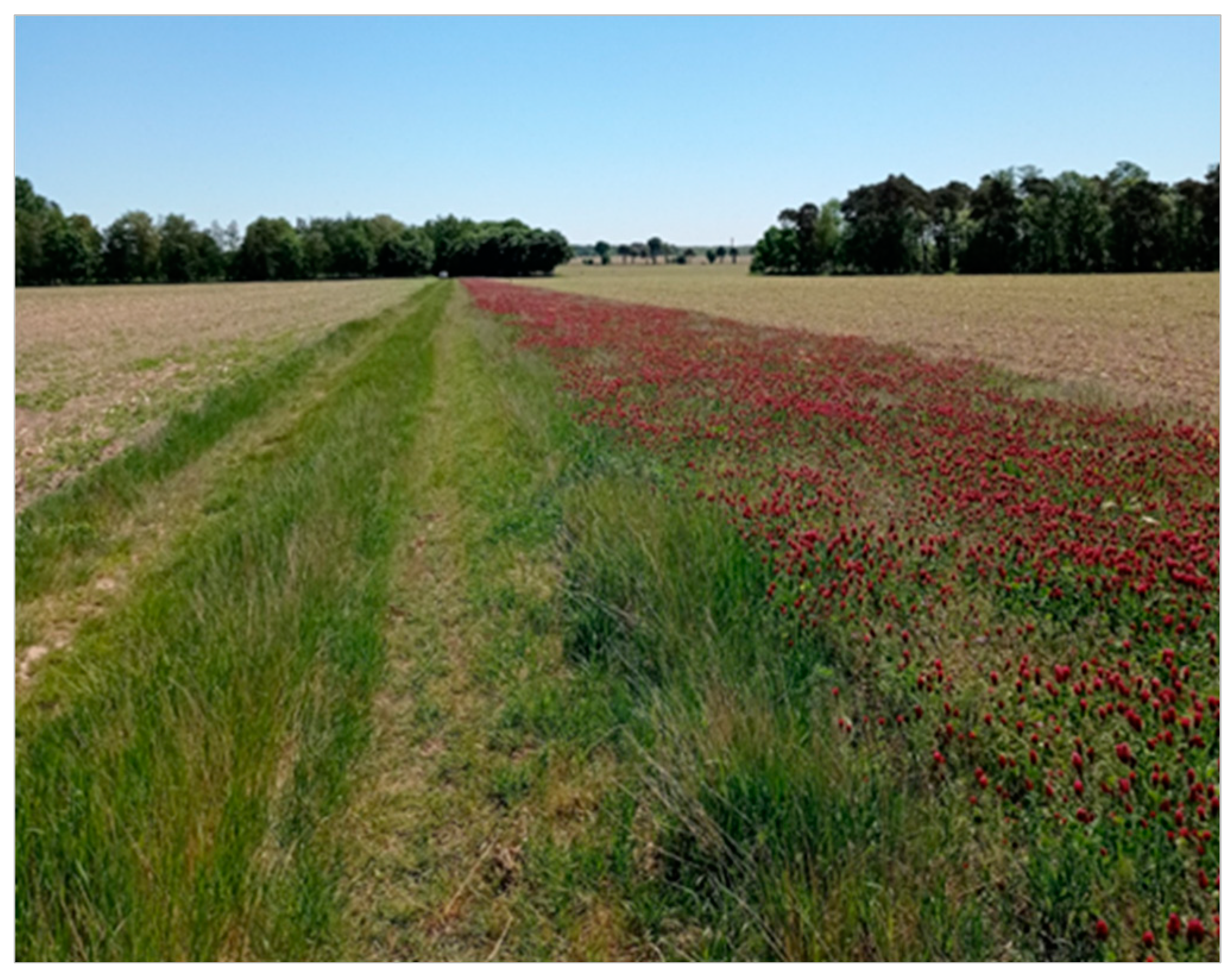 Agriculture 13 00467 sch001