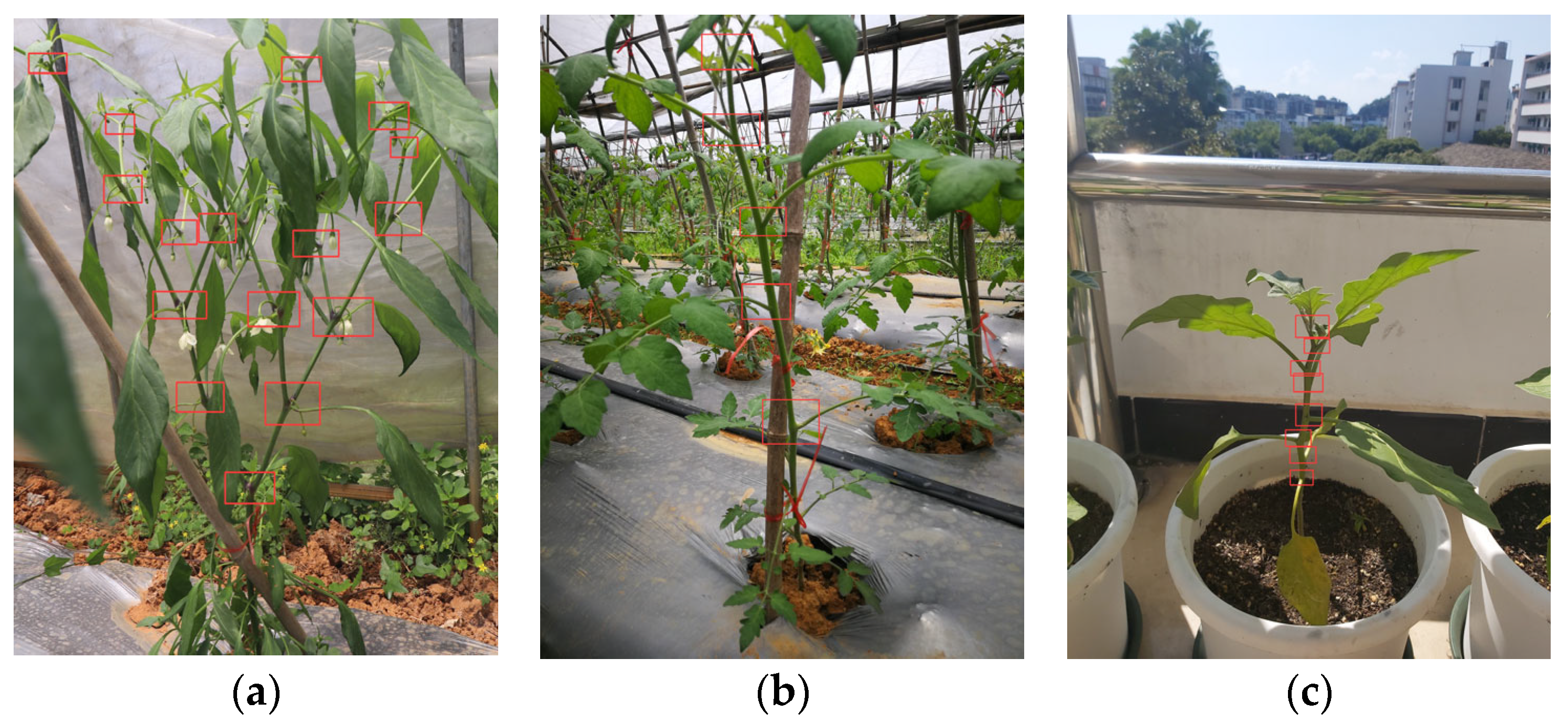 Agriculture 13 00473 g010