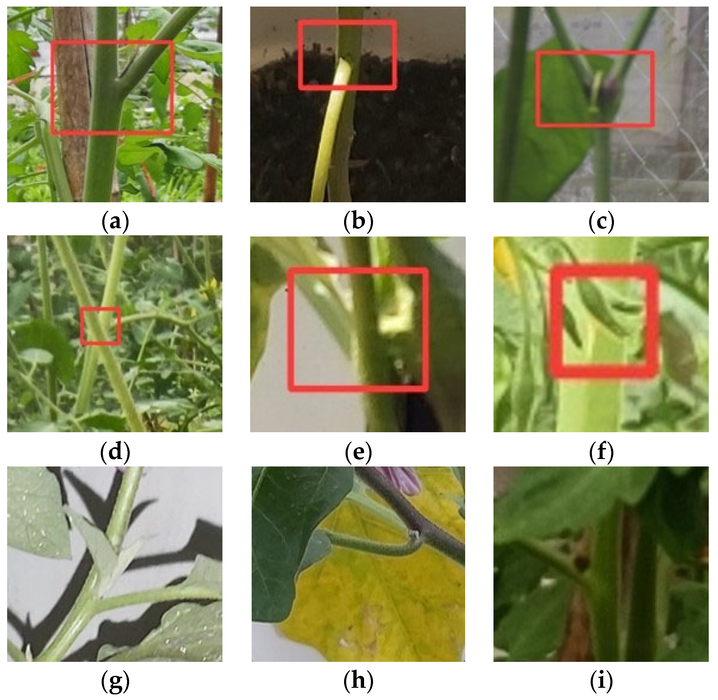 Agriculture 13 00473 g011