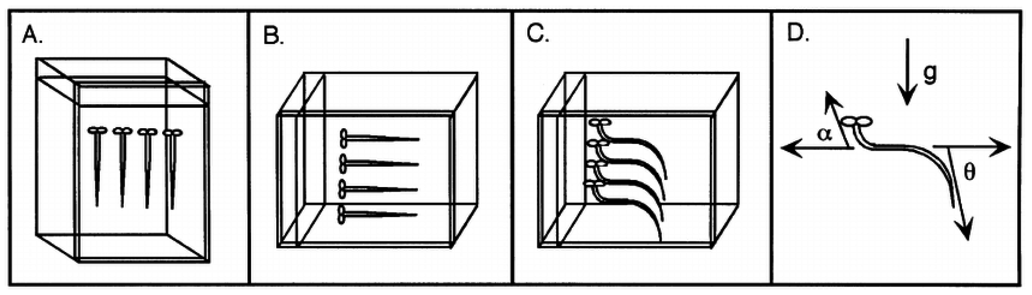 Agriculture 13 00481 g003 Agriculture 13 00481 g003