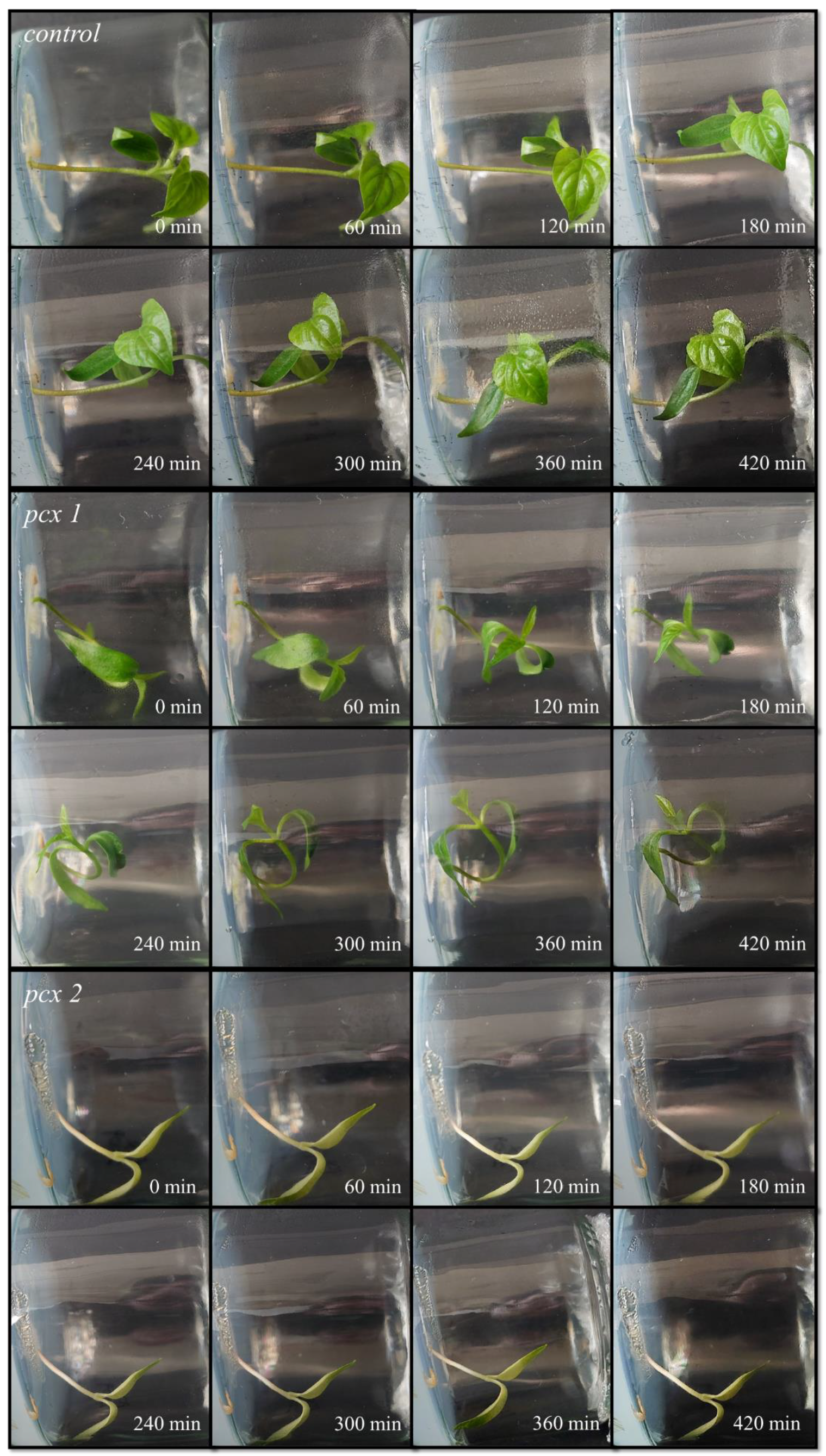 Agriculture 13 00481 g008 Agriculture 13 00481 g008