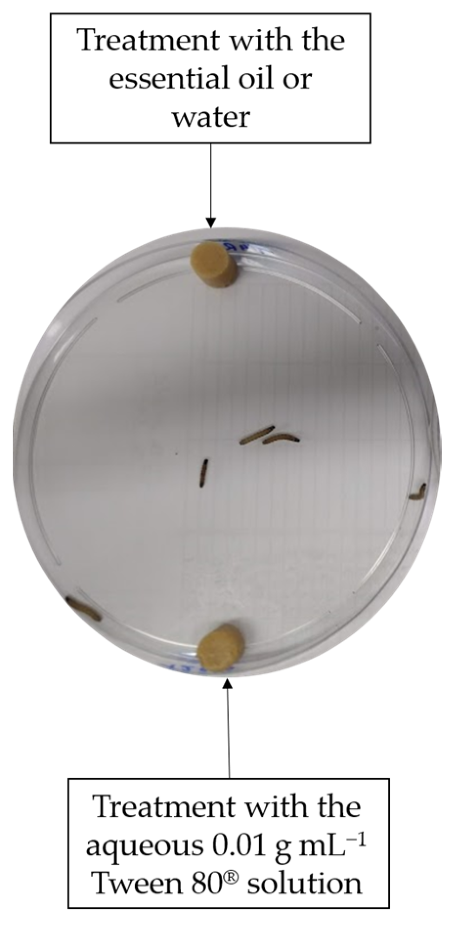 Agriculture 13 00488 g001 Agriculture 13 00488 g001