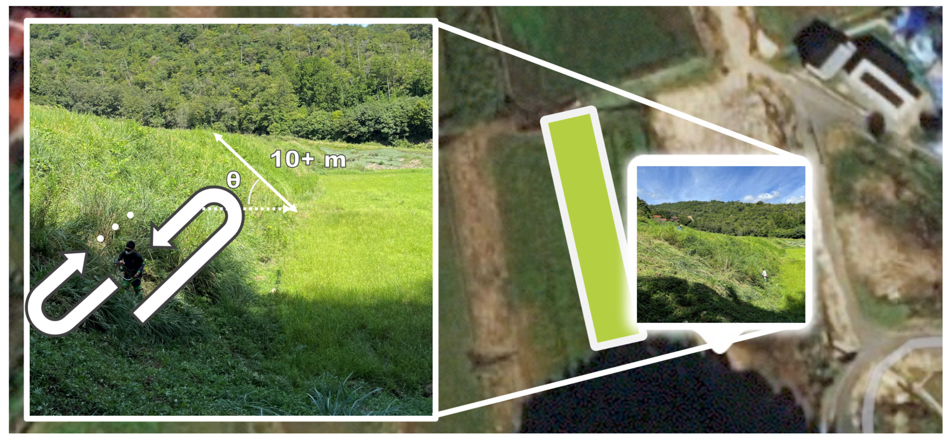 Agriculture 13 00489 g006 Agriculture 13 00489 g006