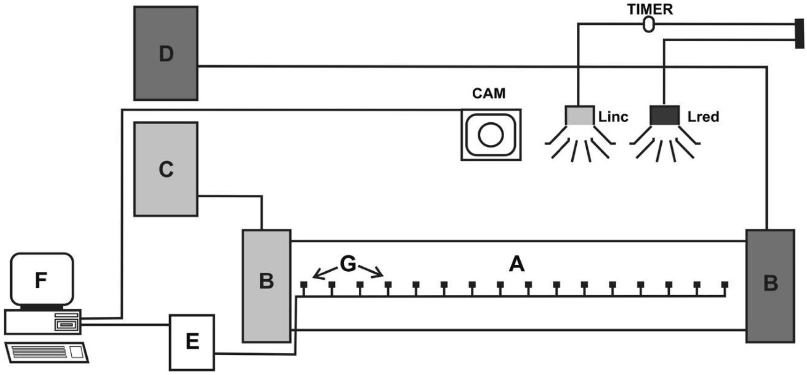 Agriculture 13 00492 g001