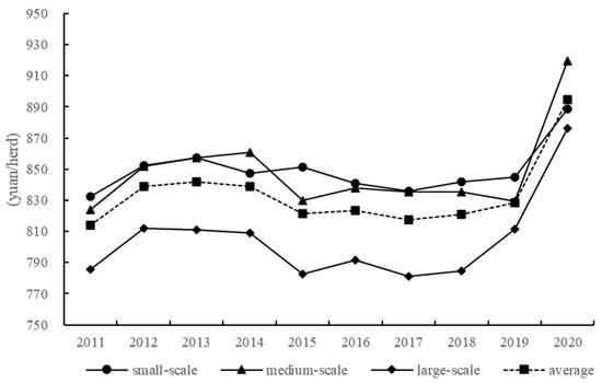 Pork Packers Face Worst Margins Since 2014 on U.S. Hog Shortage