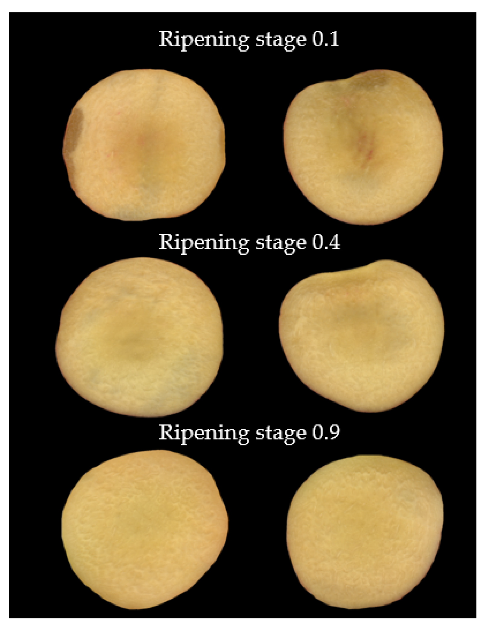 Agriculture 13 00498 g003