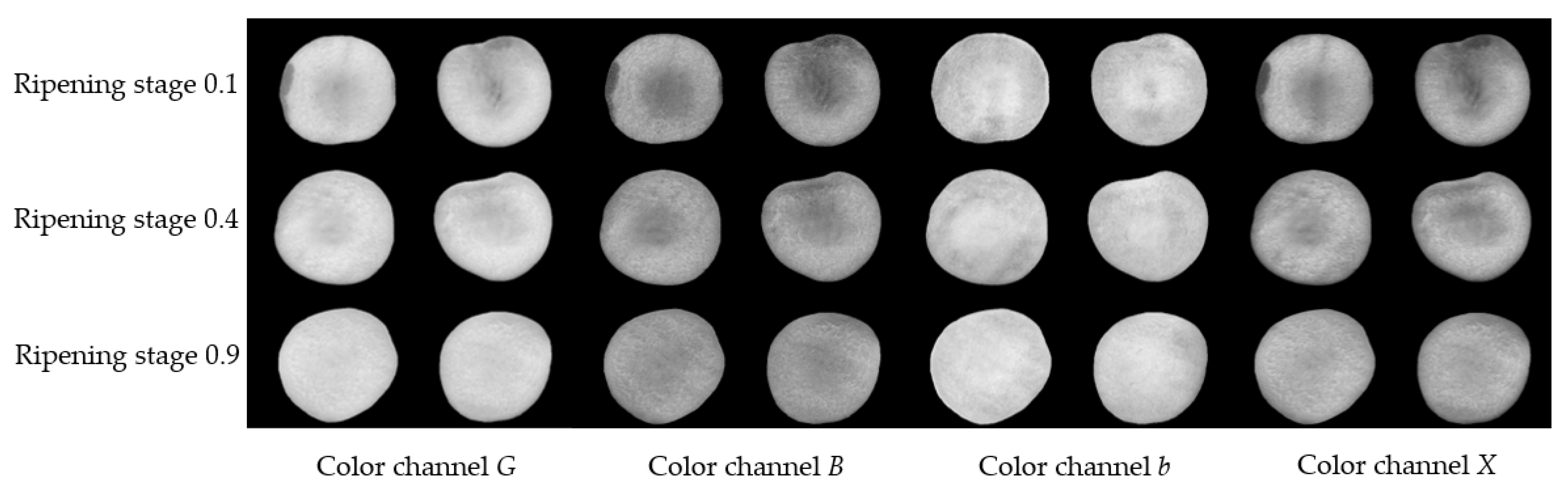 Agriculture 13 00498 g004