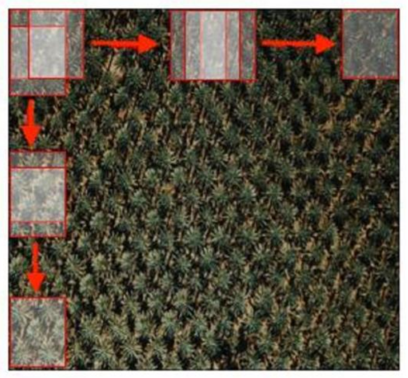 Agriculture 13 00504 g003 Agriculture 13 00504 g003