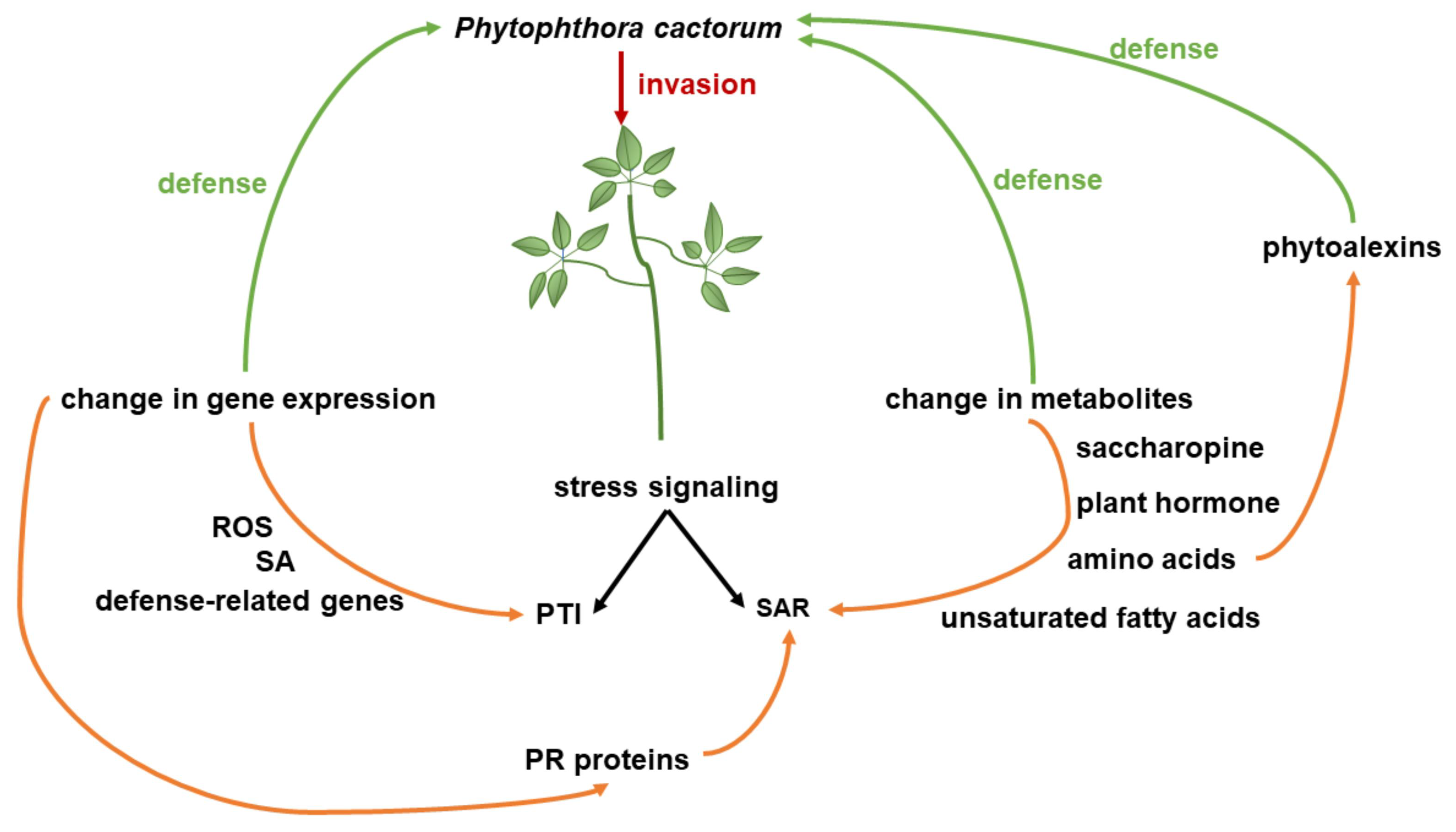 Agriculture 13 00509 g012