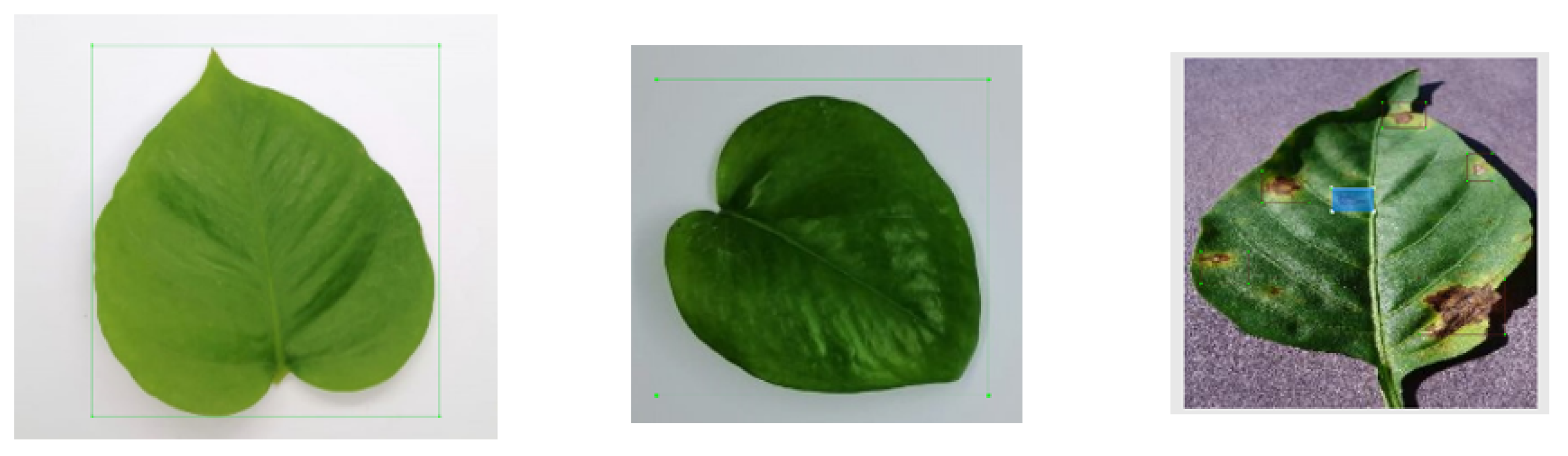 Agriculture 13 00510 g006 Agriculture 13 00510 g006