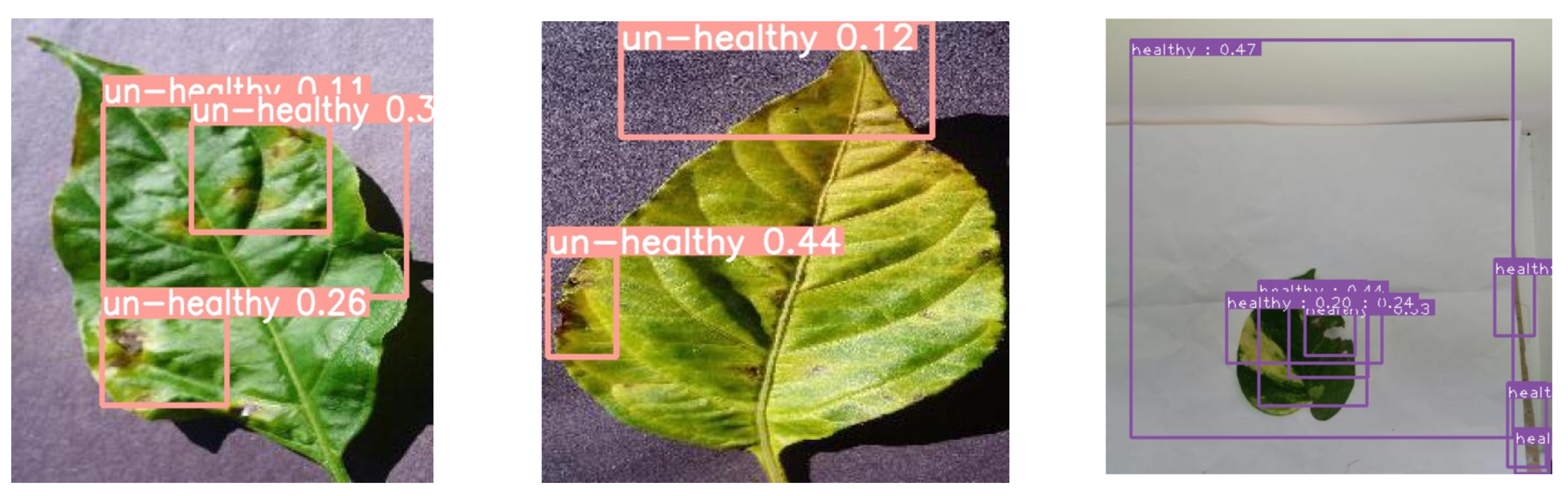 Agriculture 13 00510 g016 Agriculture 13 00510 g016