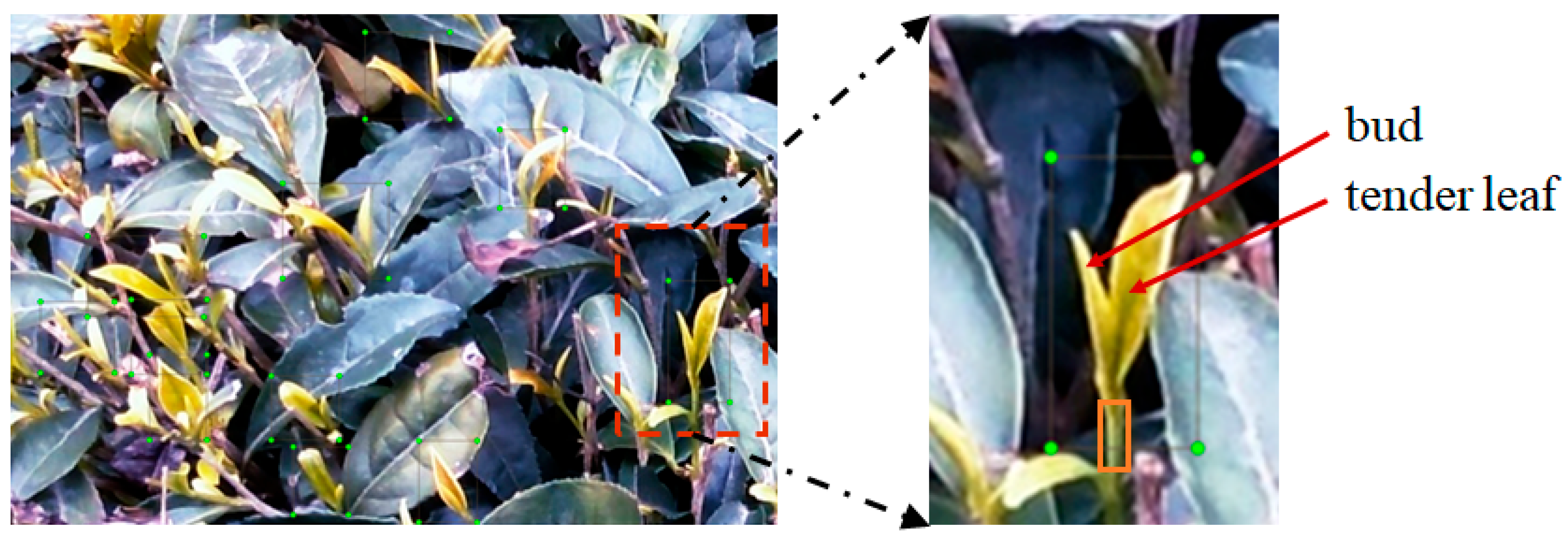 Agriculture 13 00518 g002