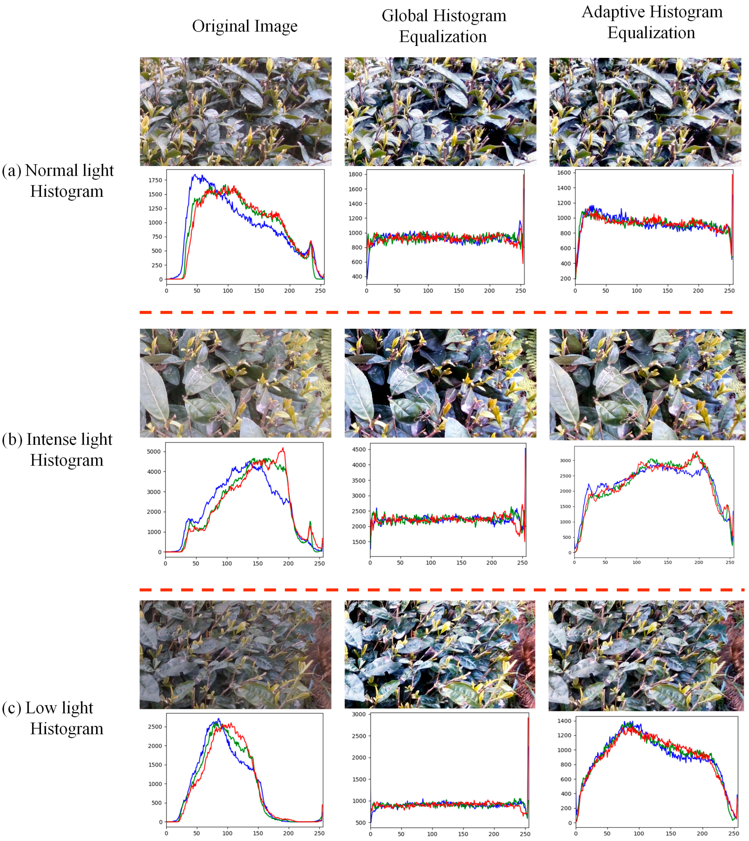 Agriculture 13 00518 g007