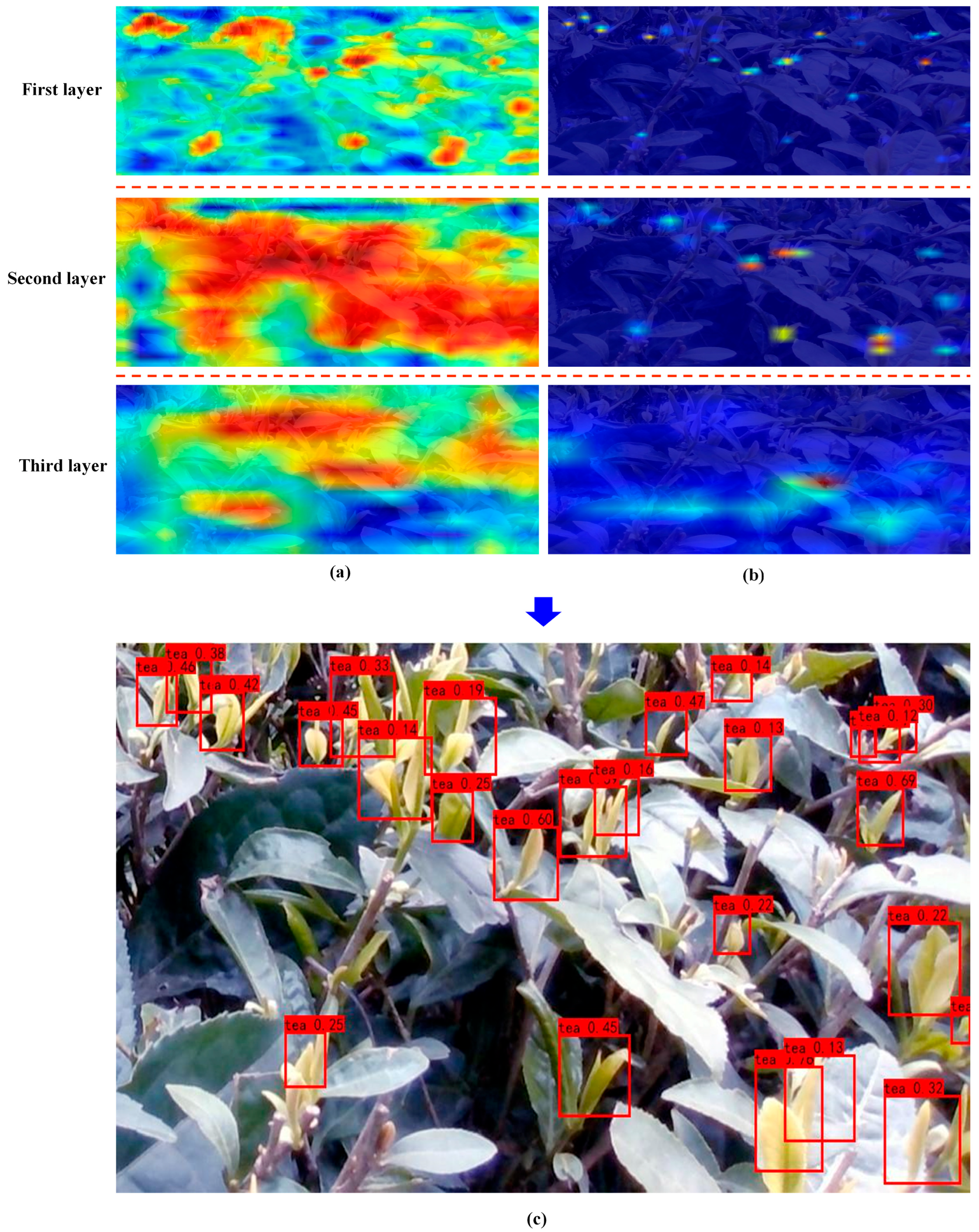 Agriculture 13 00518 g010