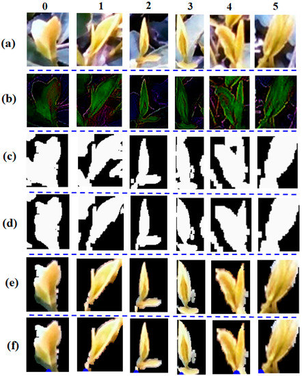 Agriculture | Free Full-Text | Recognition and Positioning of Fresh Tea ...