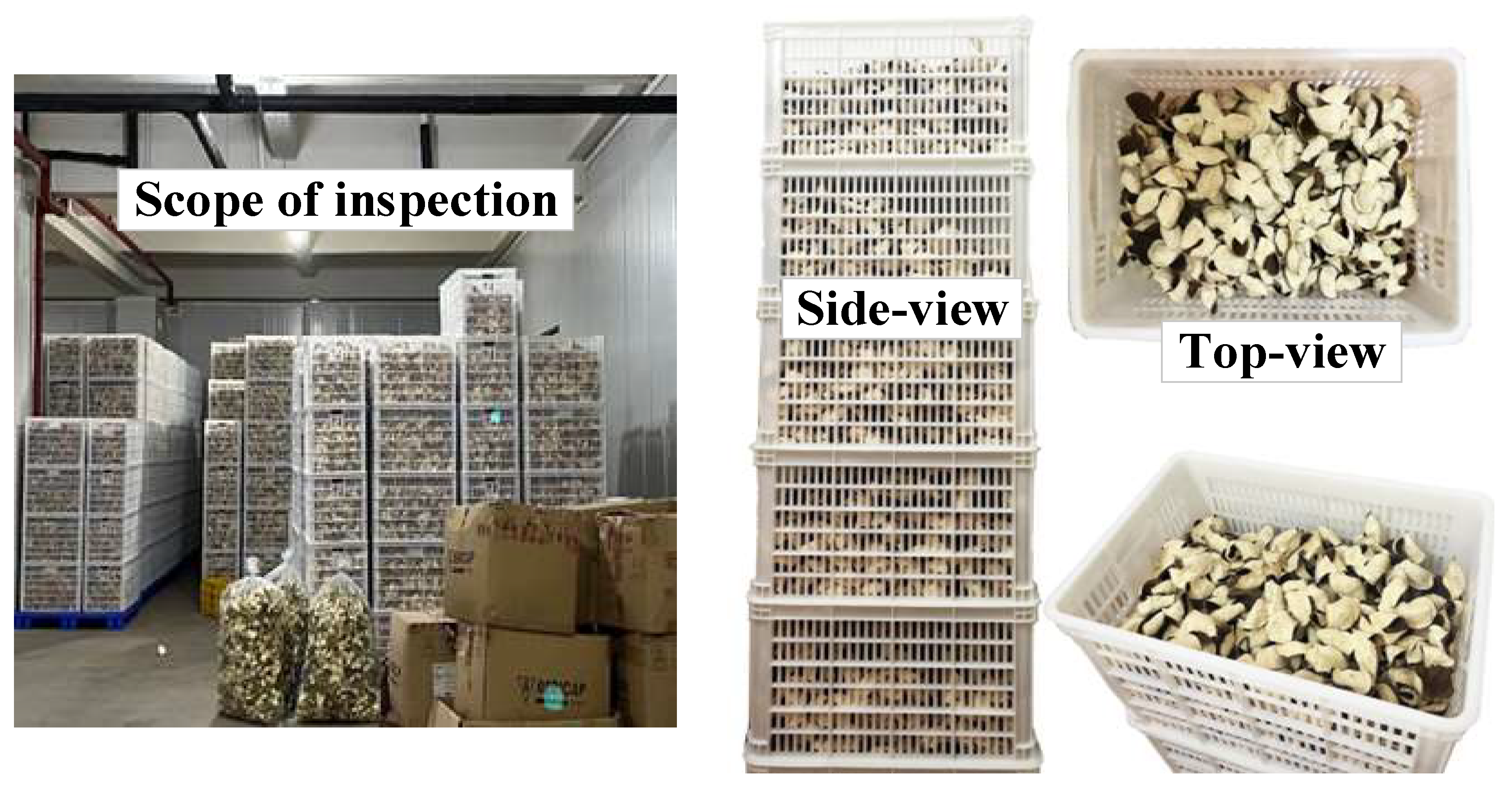 Agriculture 13 00528 g001 Agriculture 13 00528 g001