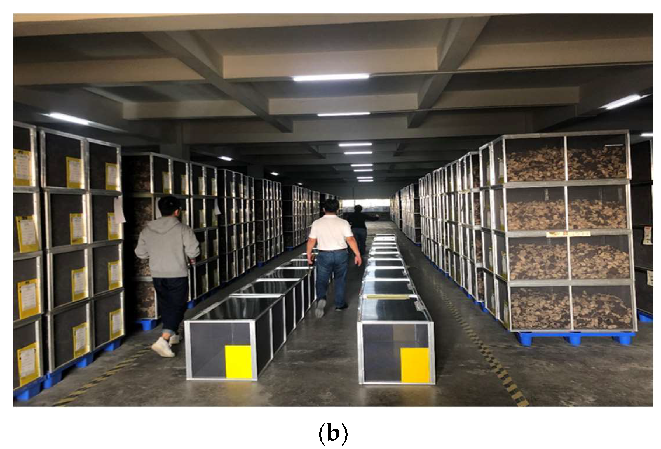 Agriculture 13 00528 g003b Agriculture 13 00528 g003b