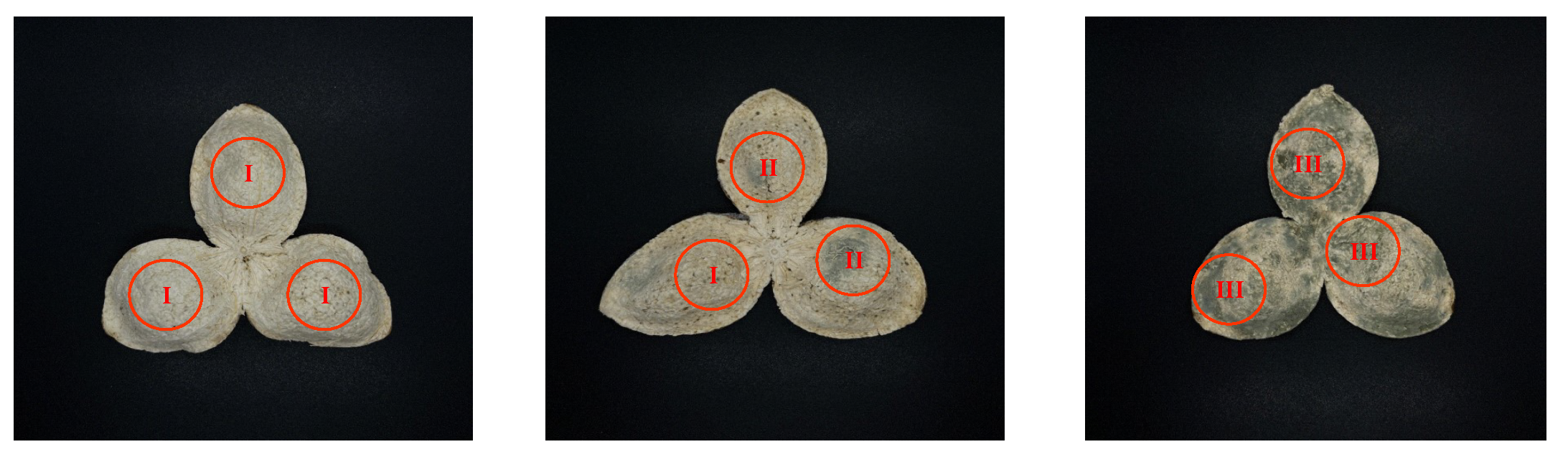 Agriculture 13 00528 g004 Agriculture 13 00528 g004