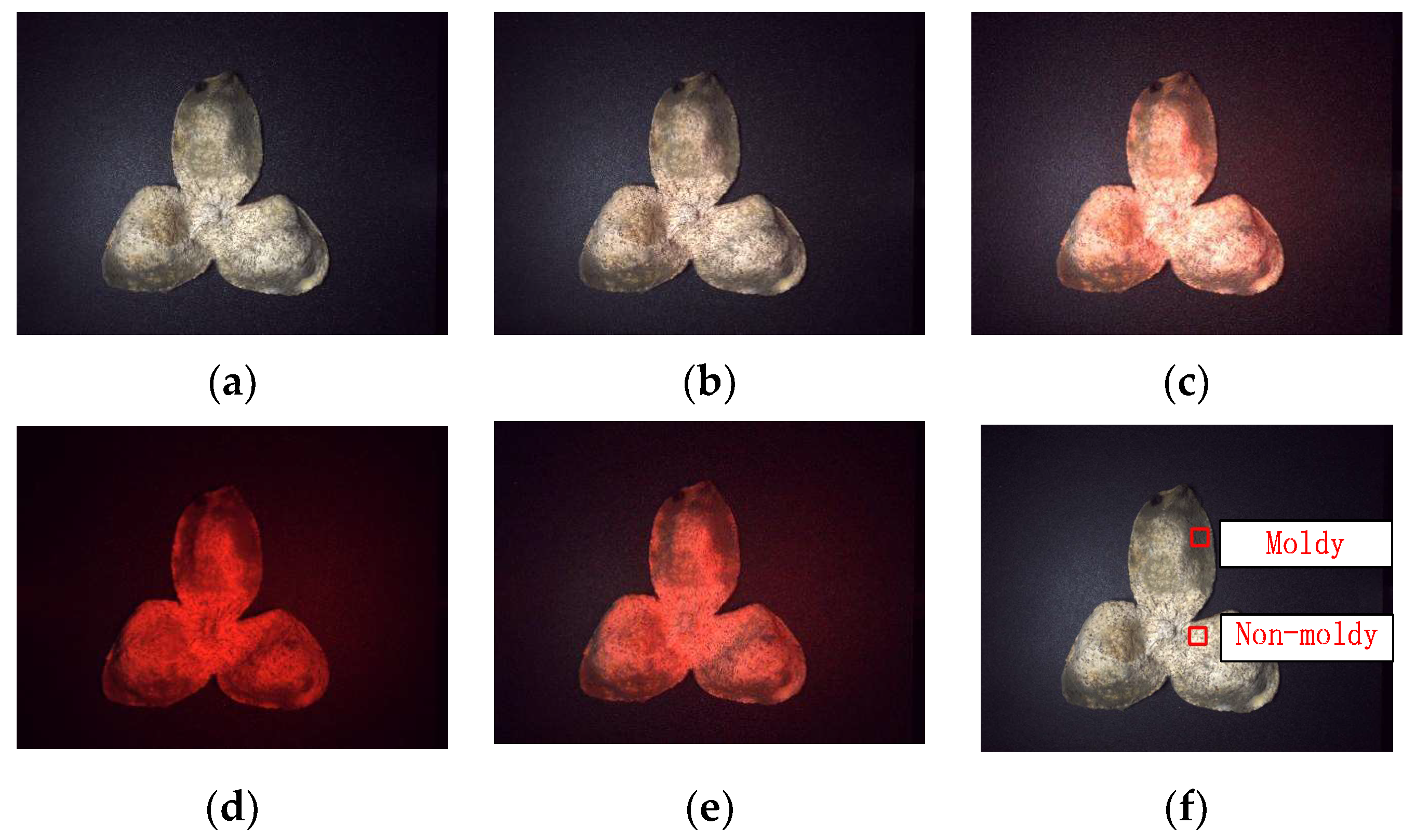 Agriculture 13 00528 g009 Agriculture 13 00528 g009