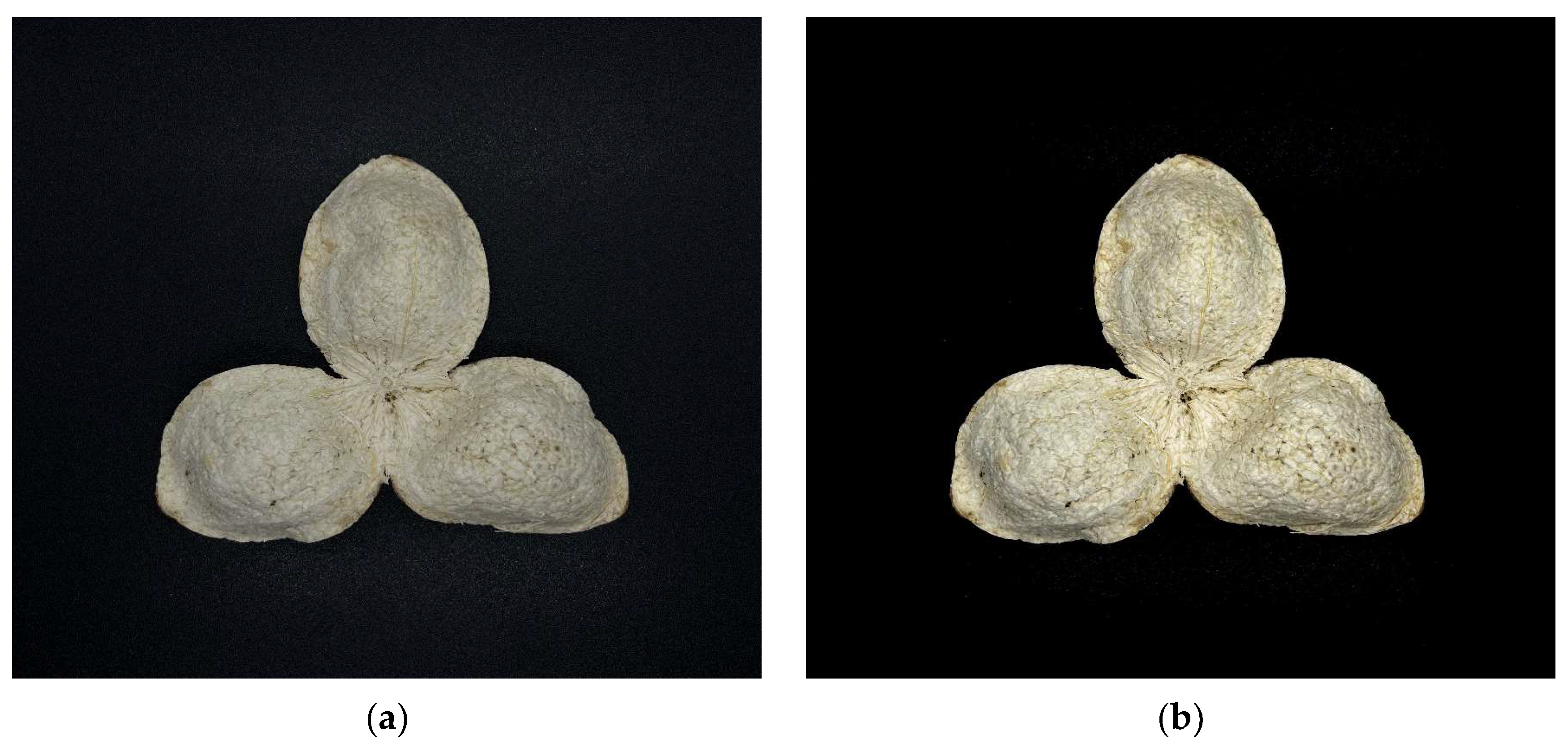 Agriculture 13 00528 g010a Agriculture 13 00528 g010a