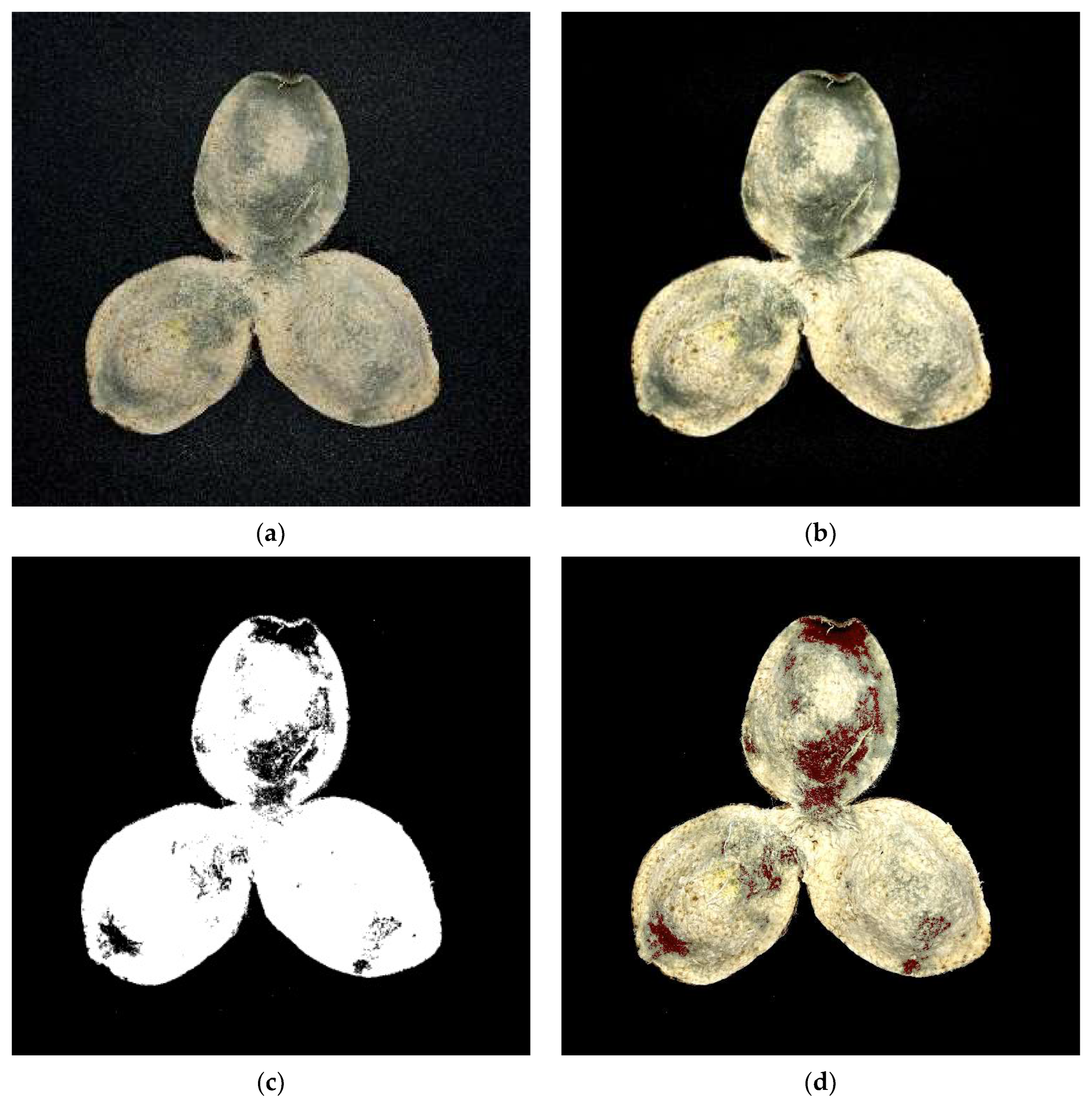 Agriculture 13 00528 g011 Agriculture 13 00528 g011