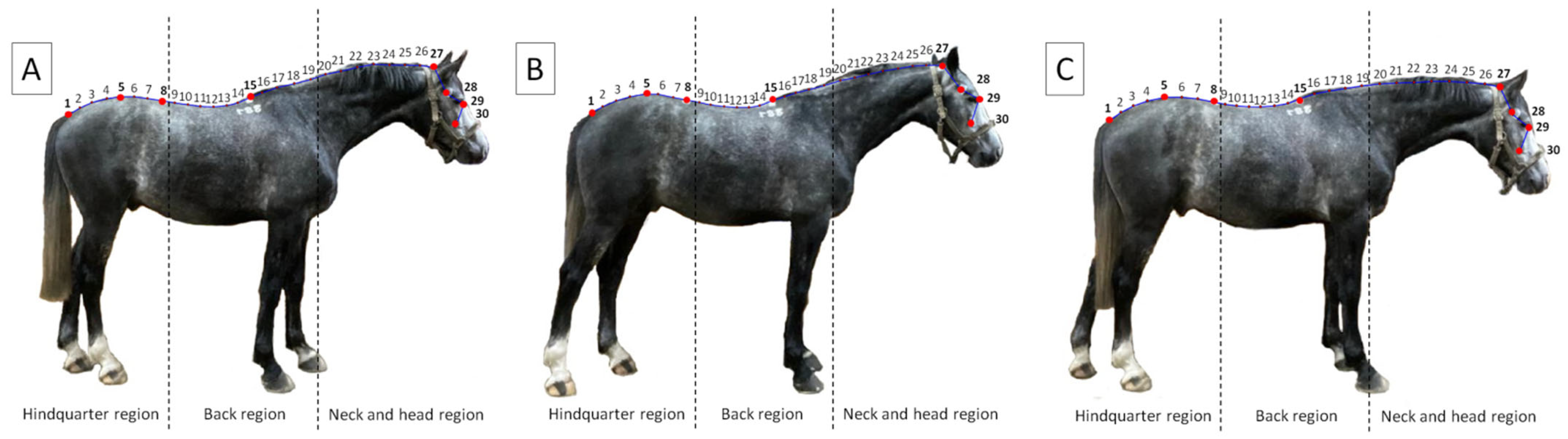 Agriculture 13 00529 g001