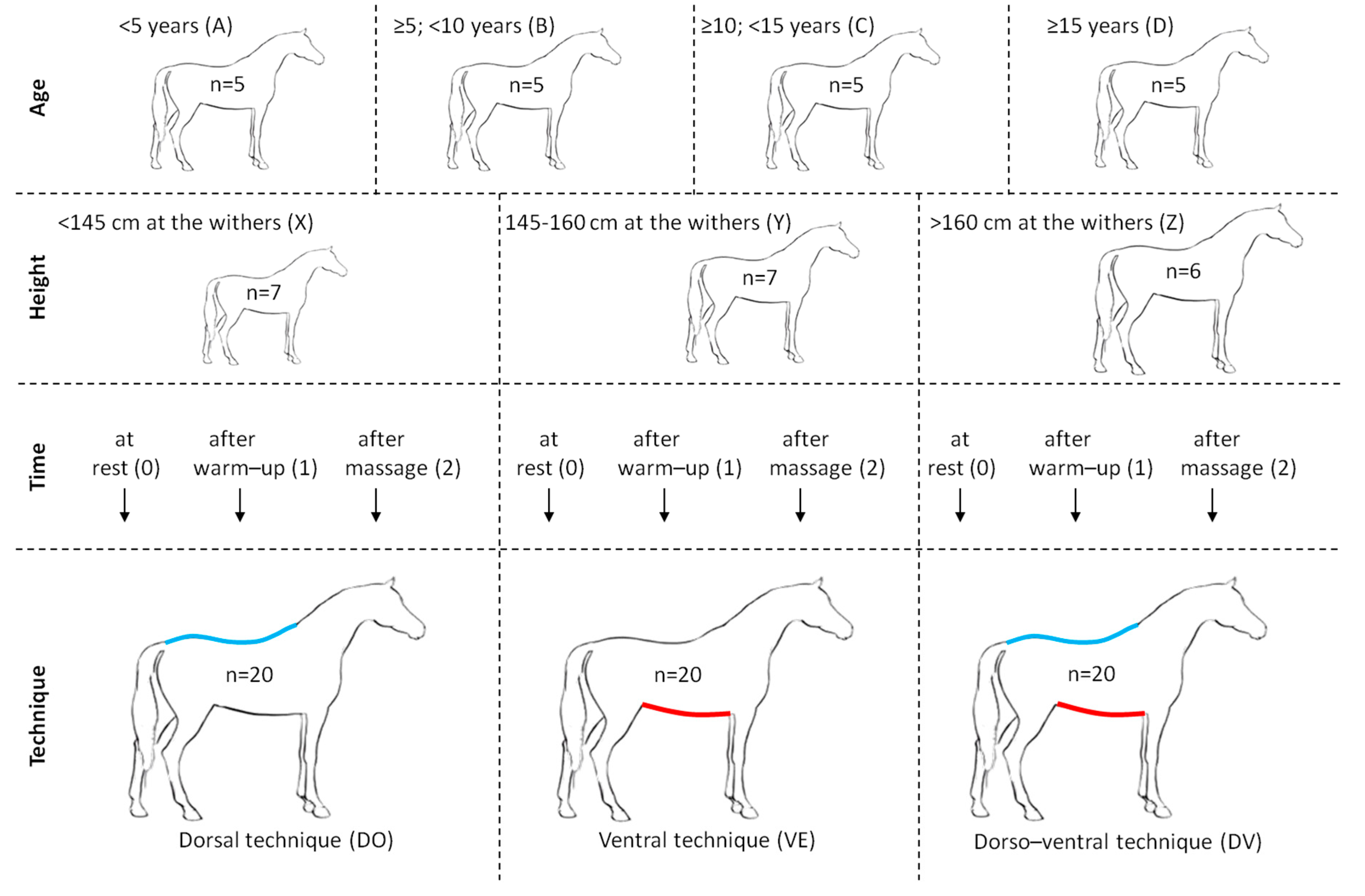 Agriculture 13 00529 g002