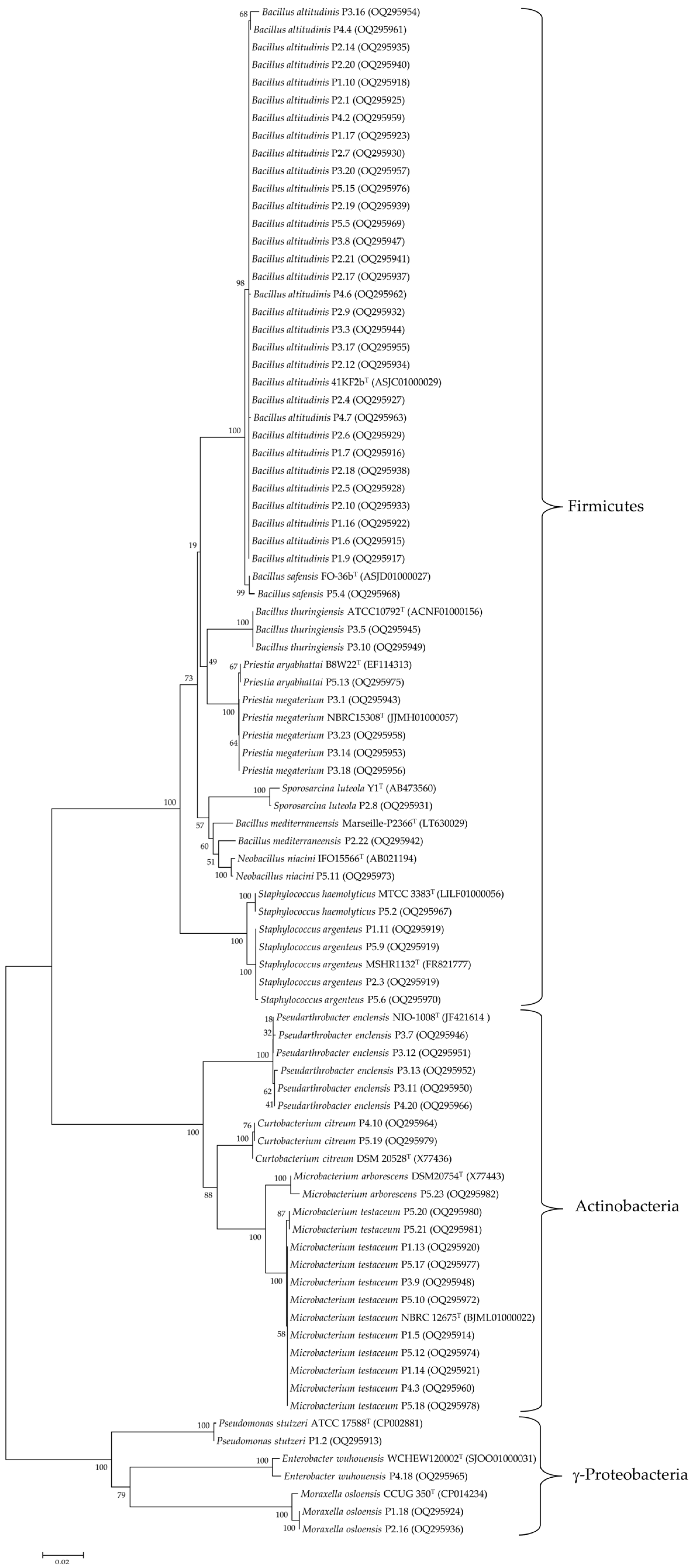 Agriculture 13 00533 g001 Agriculture 13 00533 g001