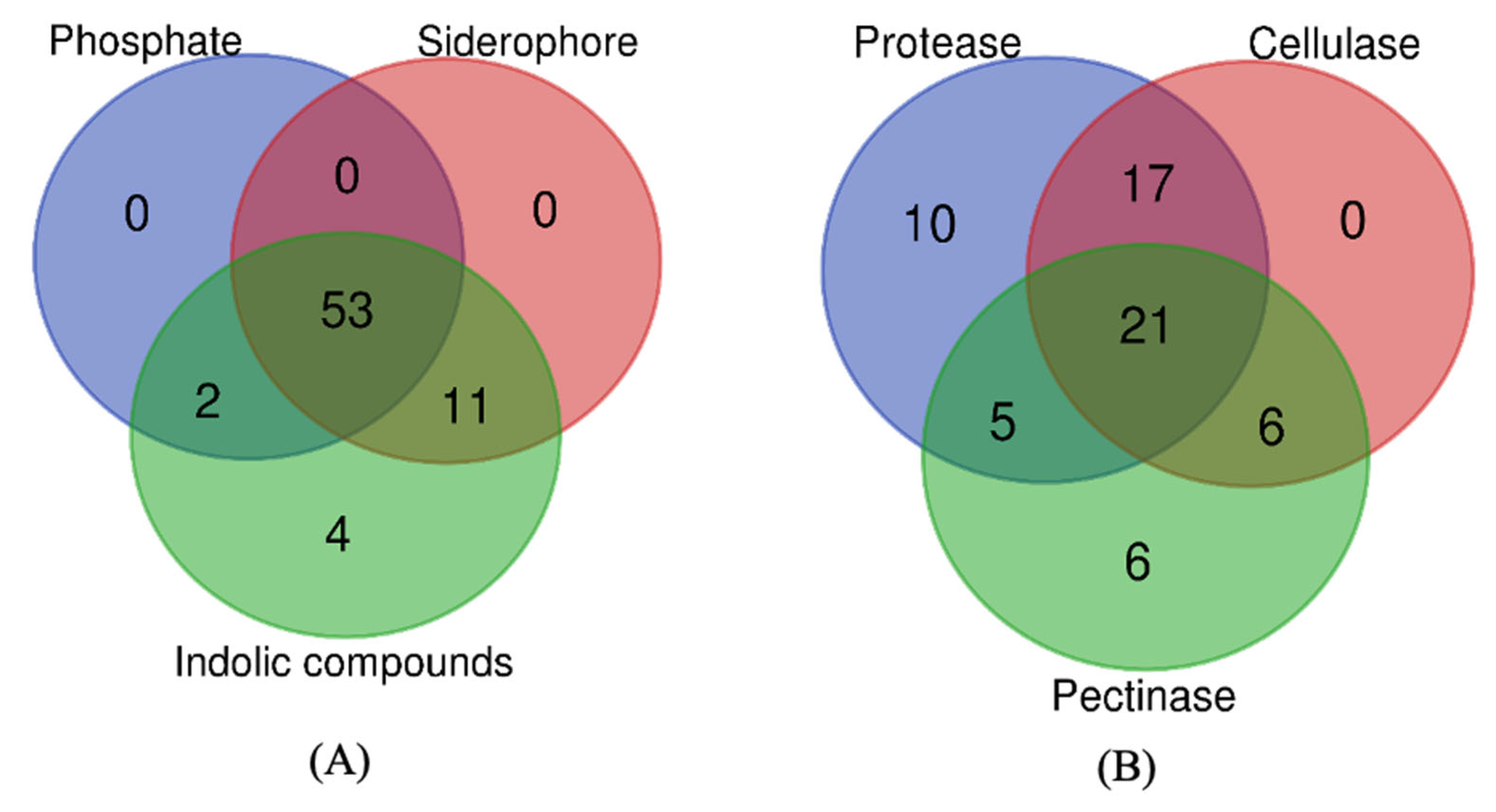 Agriculture 13 00533 g004 Agriculture 13 00533 g004