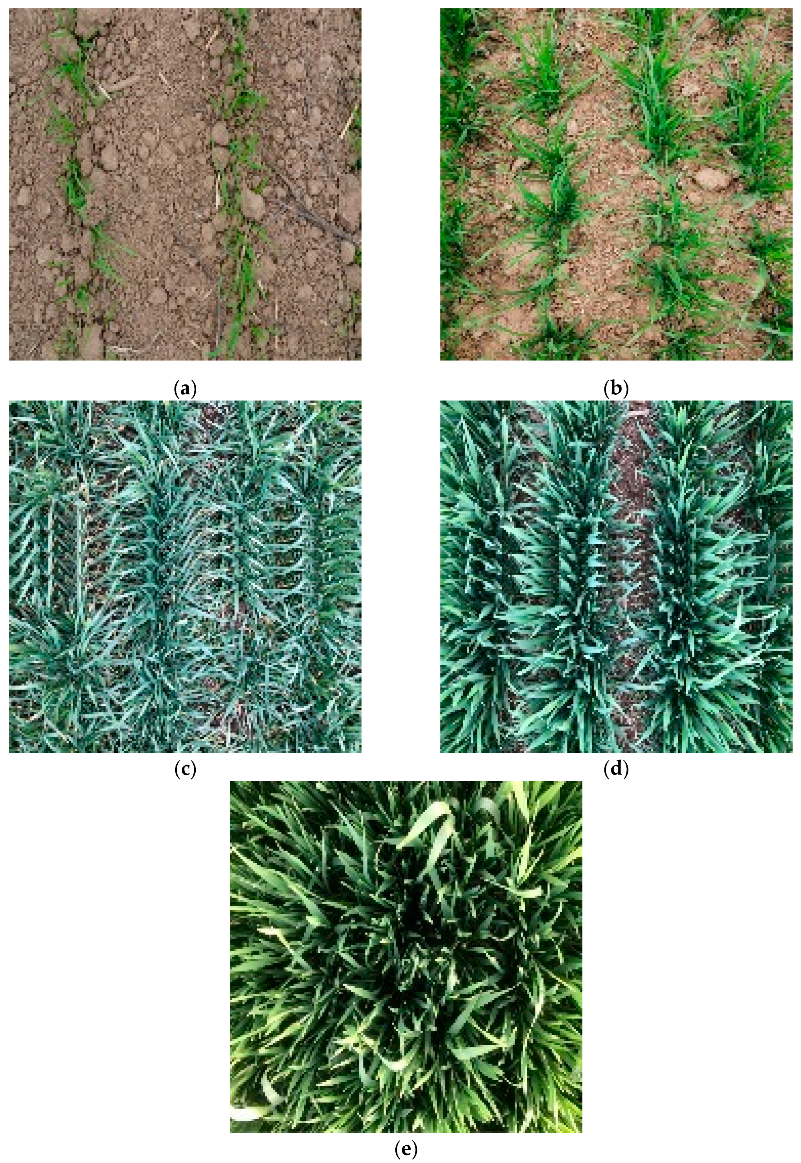 Agriculture 13 00534 g001