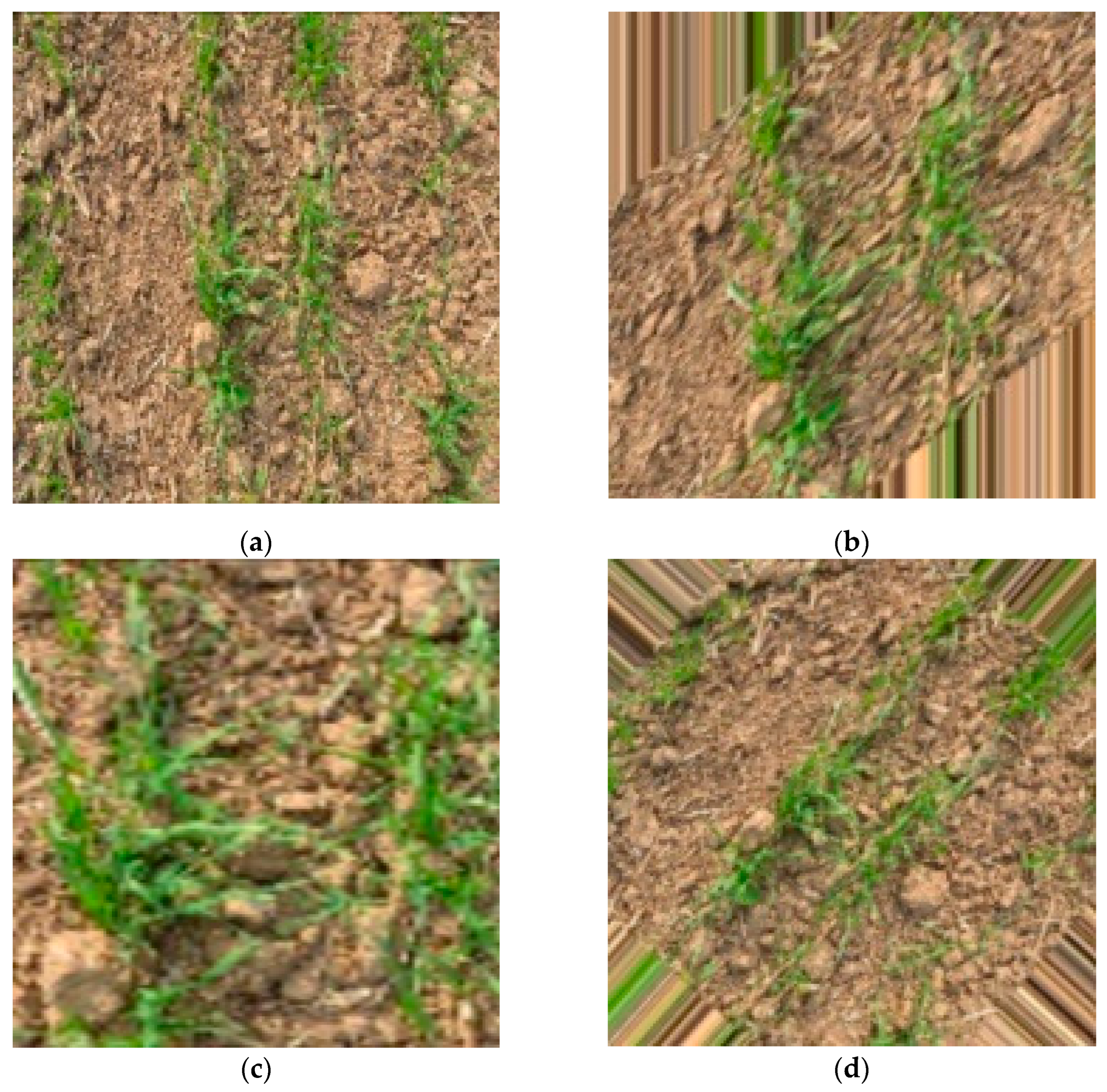 Agriculture 13 00534 g002a