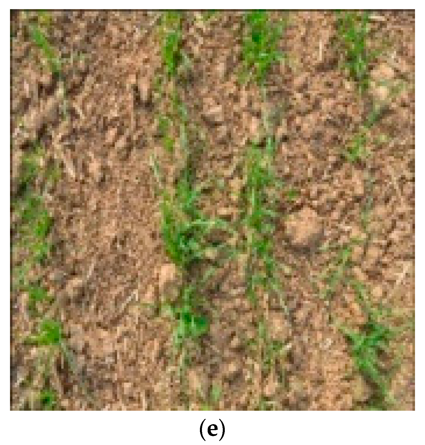 Agriculture 13 00534 g002b